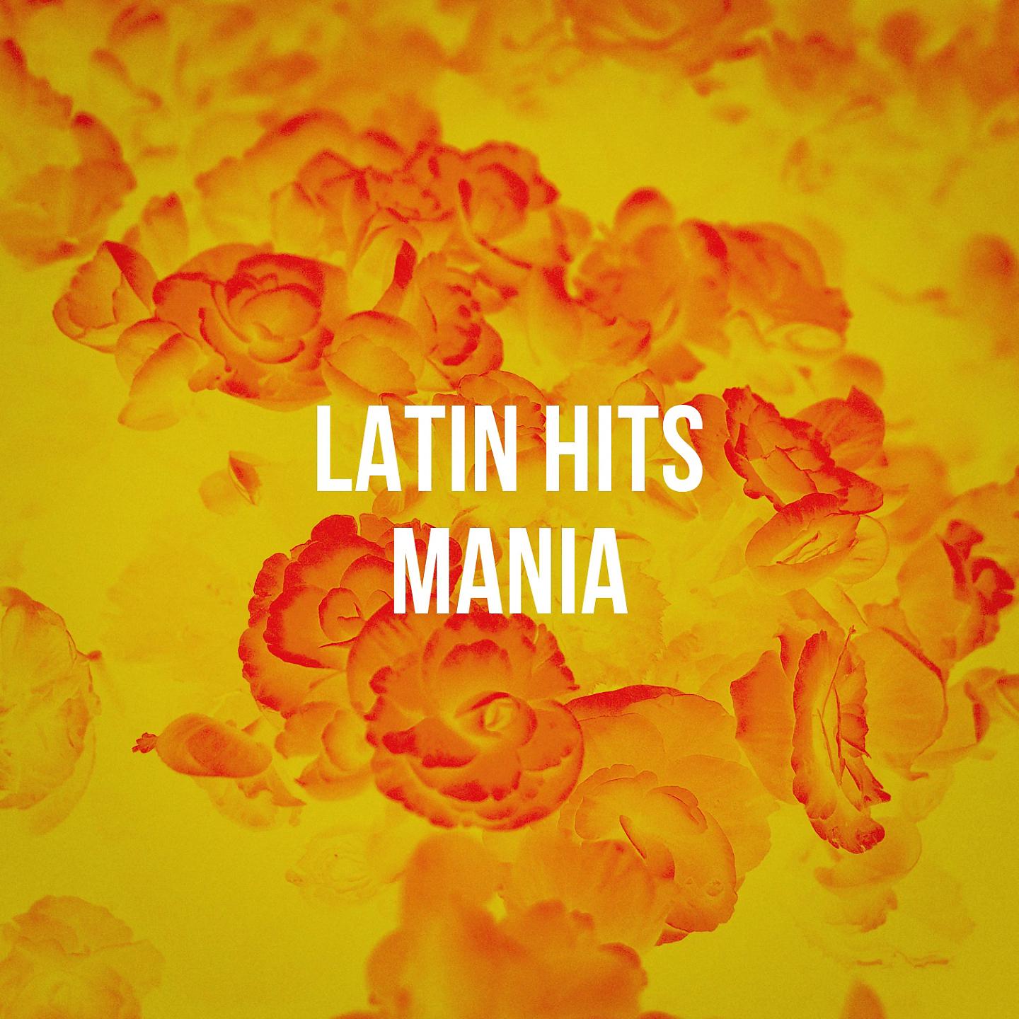 Постер альбома Latin Hits Mania