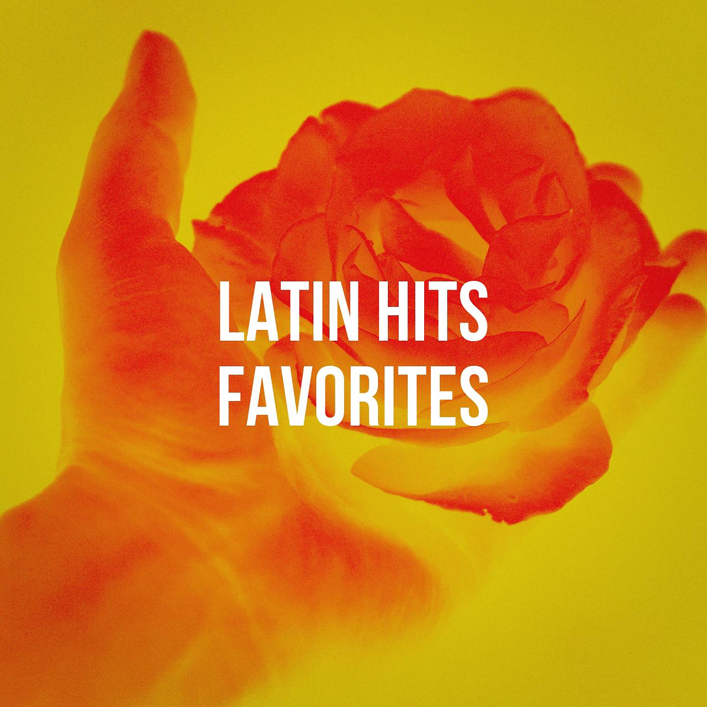 Постер альбома Latin Hits Favorites