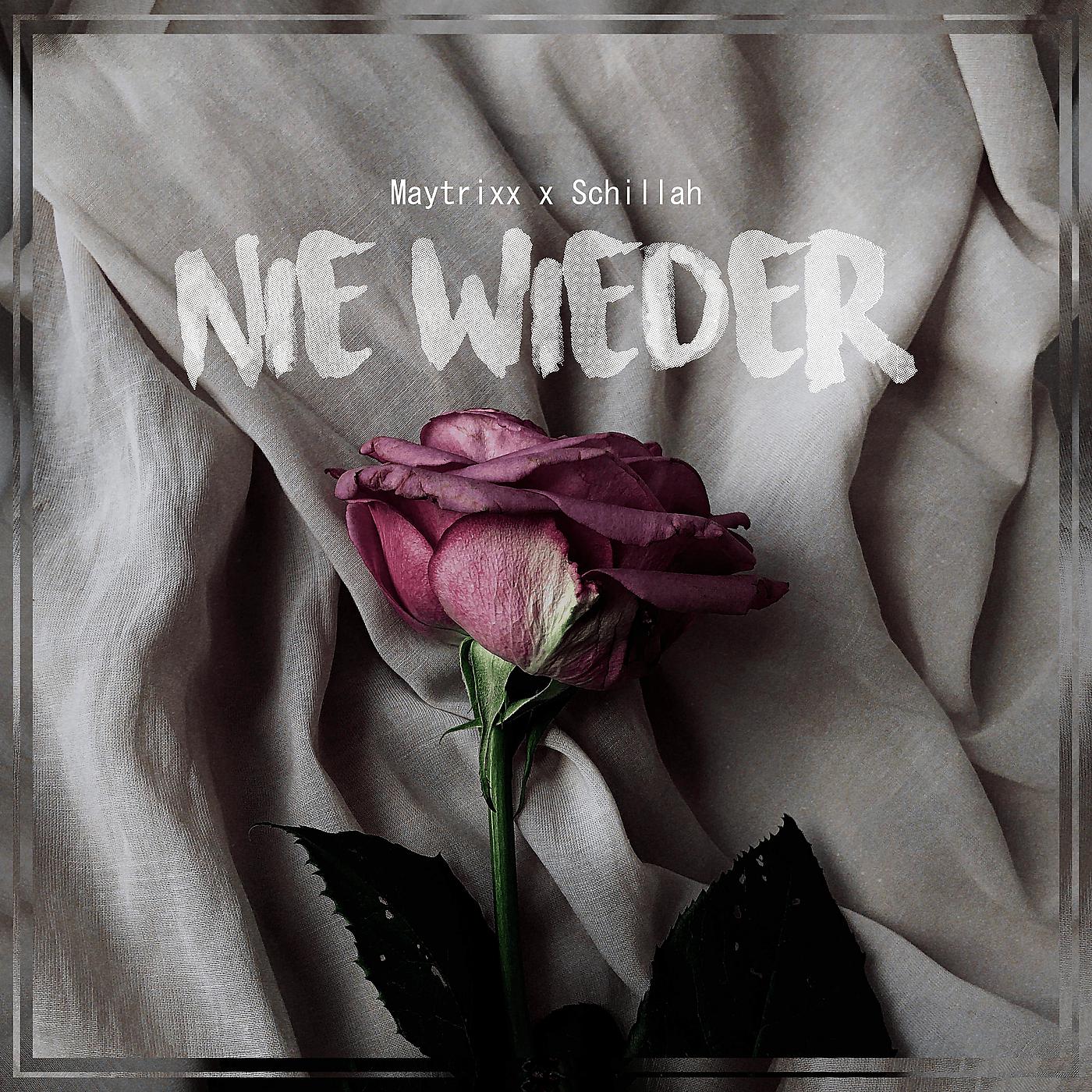 Постер альбома Nie Wieder