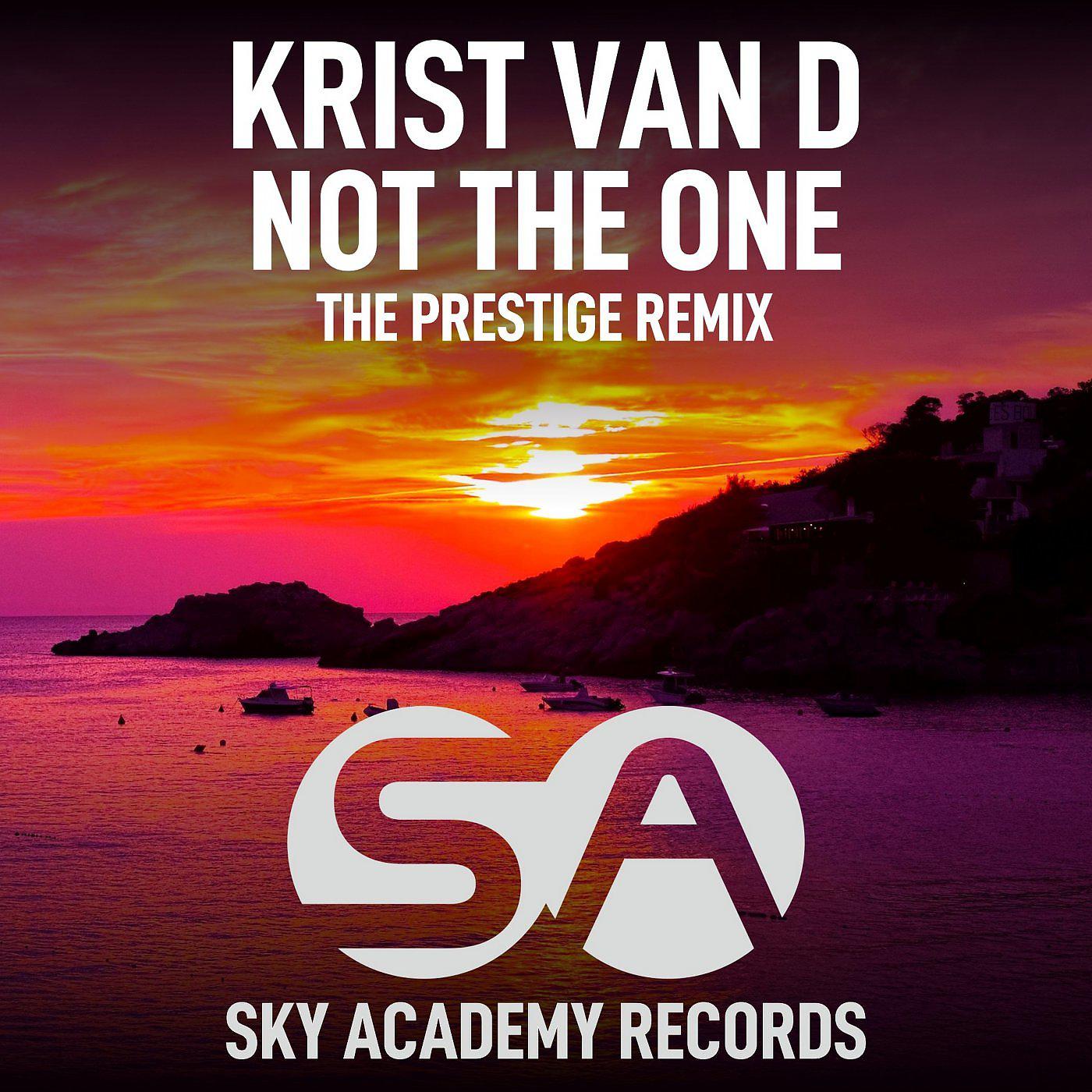 Постер альбома Not The One (The Prestige Remix)