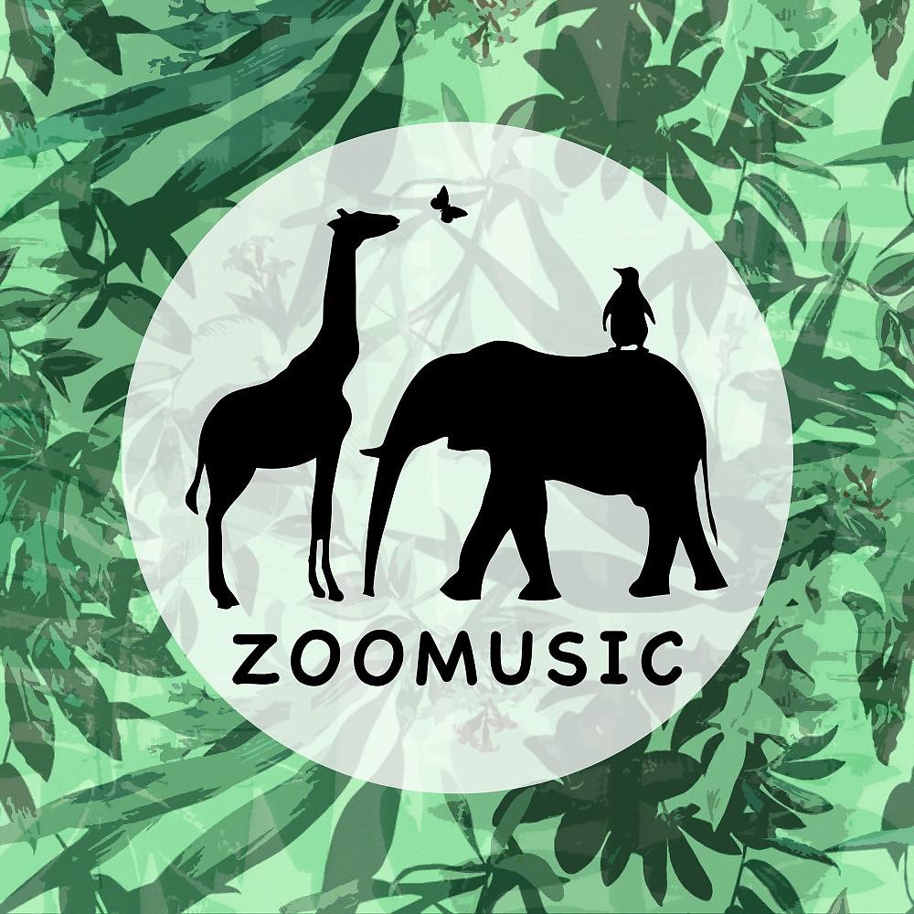 Постер альбома Zoomusic