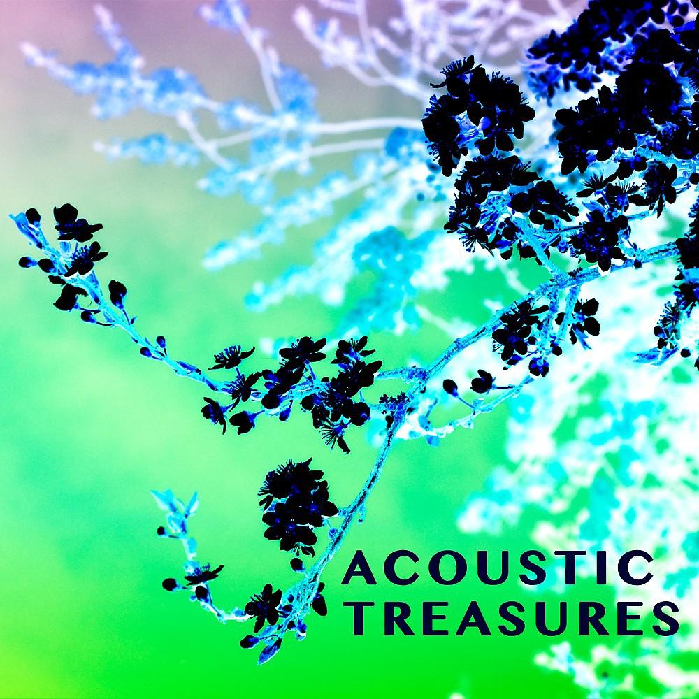 Постер альбома Acoustic Treasures