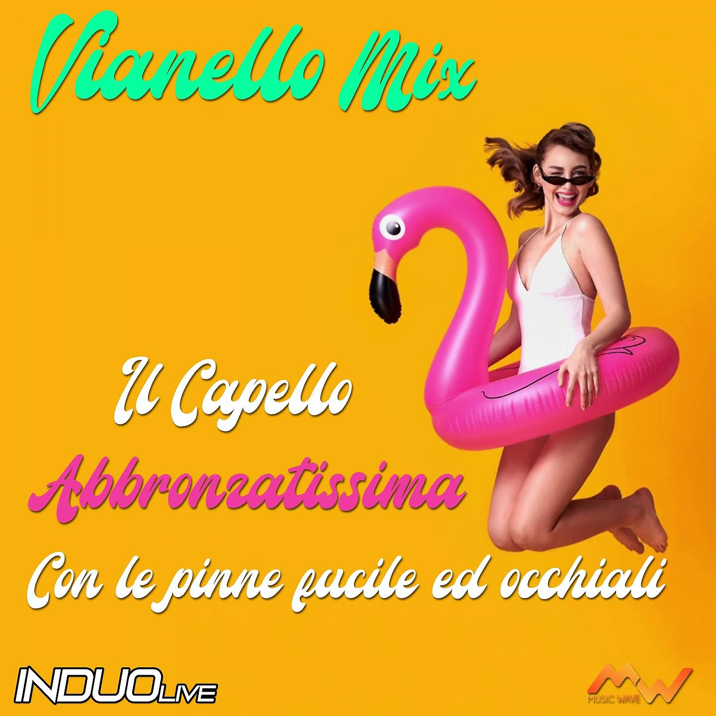 Постер альбома Il capello / Abbronzatissima / Con le pinne fucile ed occhiali / Vianello Mix