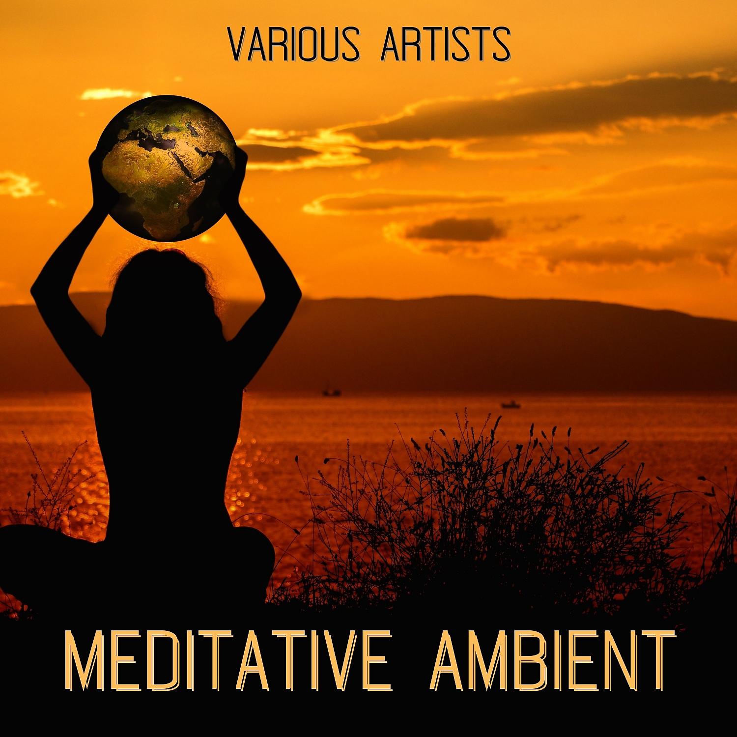 Постер альбома Meditative Ambient