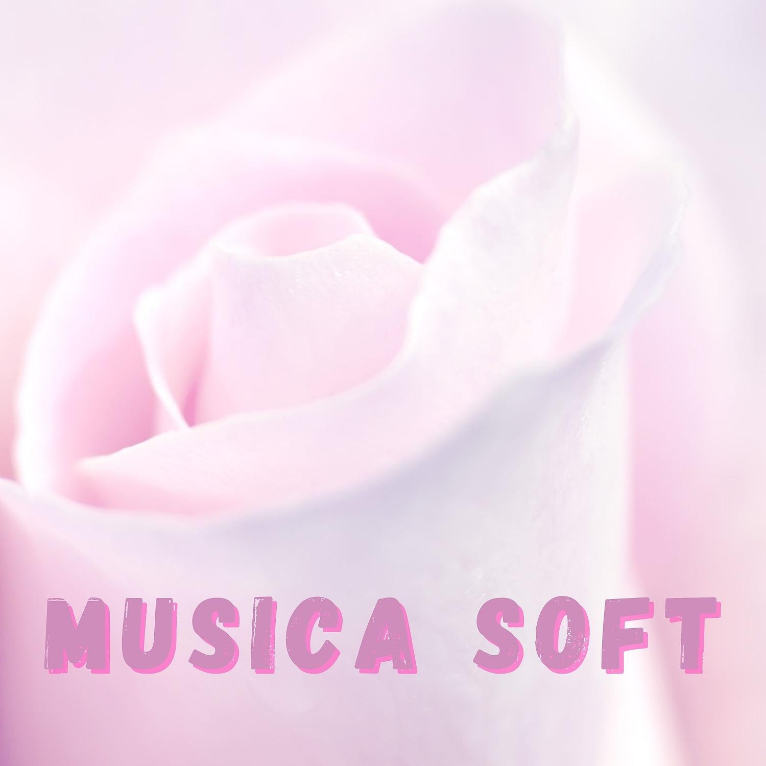 Постер альбома Musica Soft