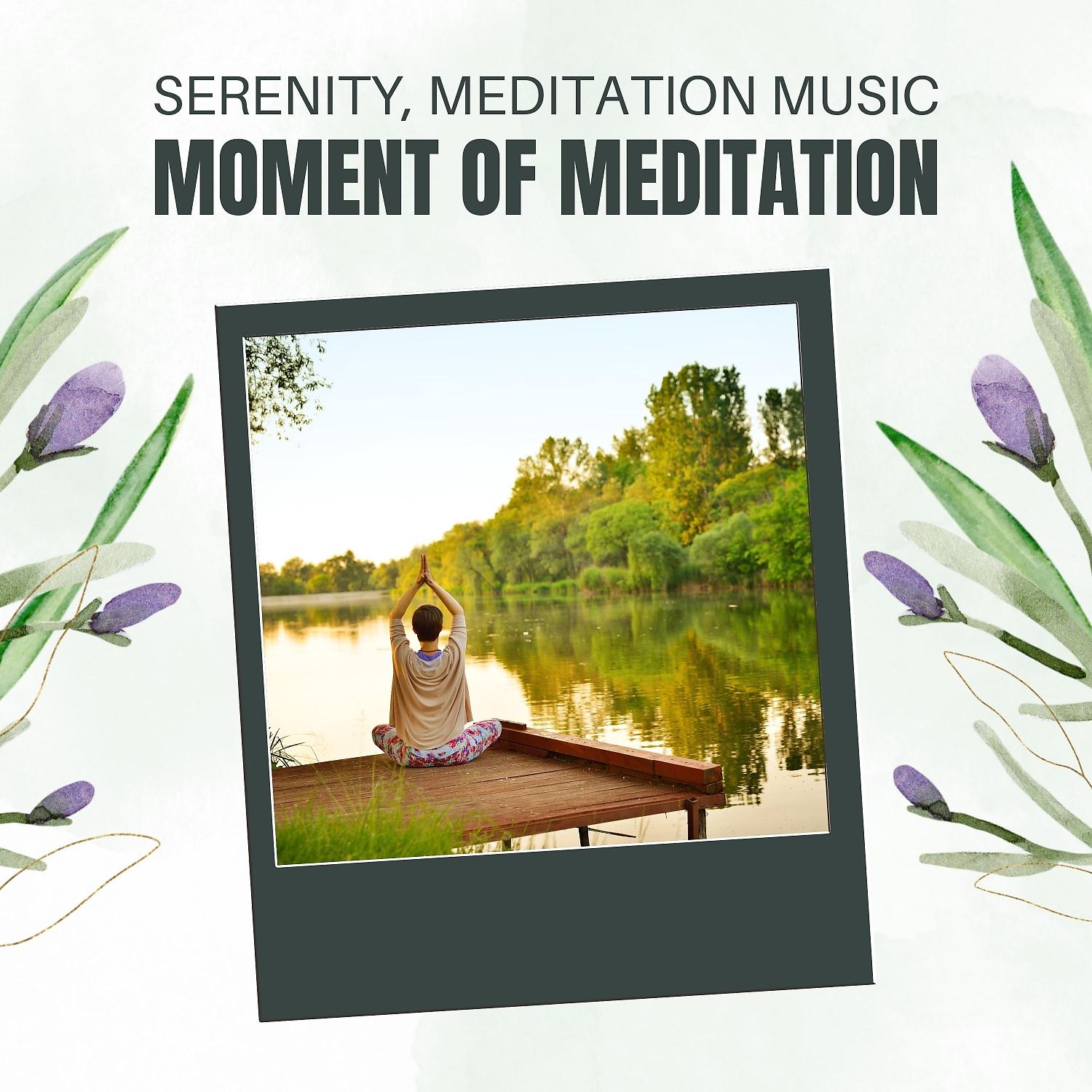 Постер альбома Moment of Meditation