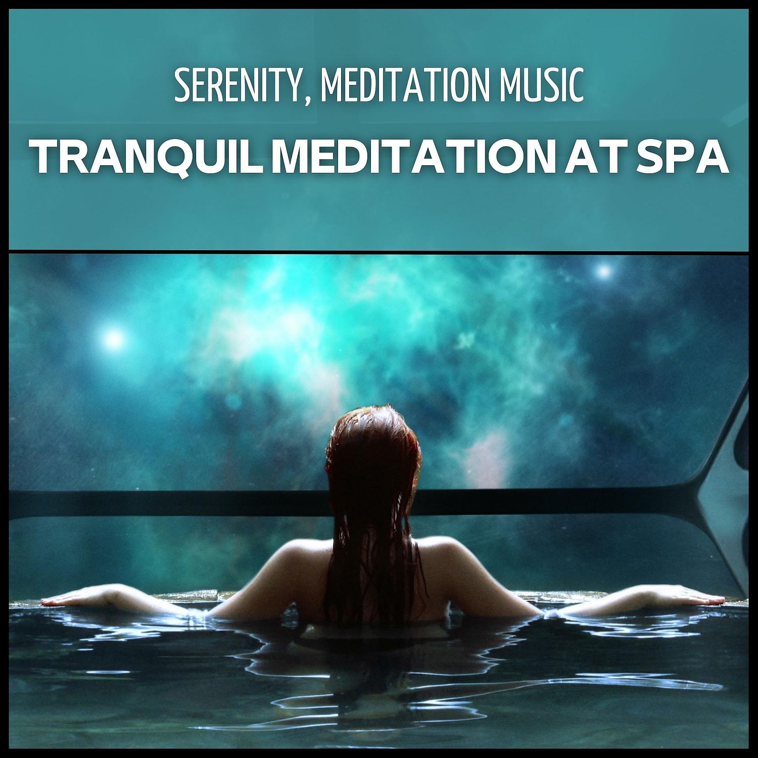 Постер альбома Tranquil Meditation at Spa