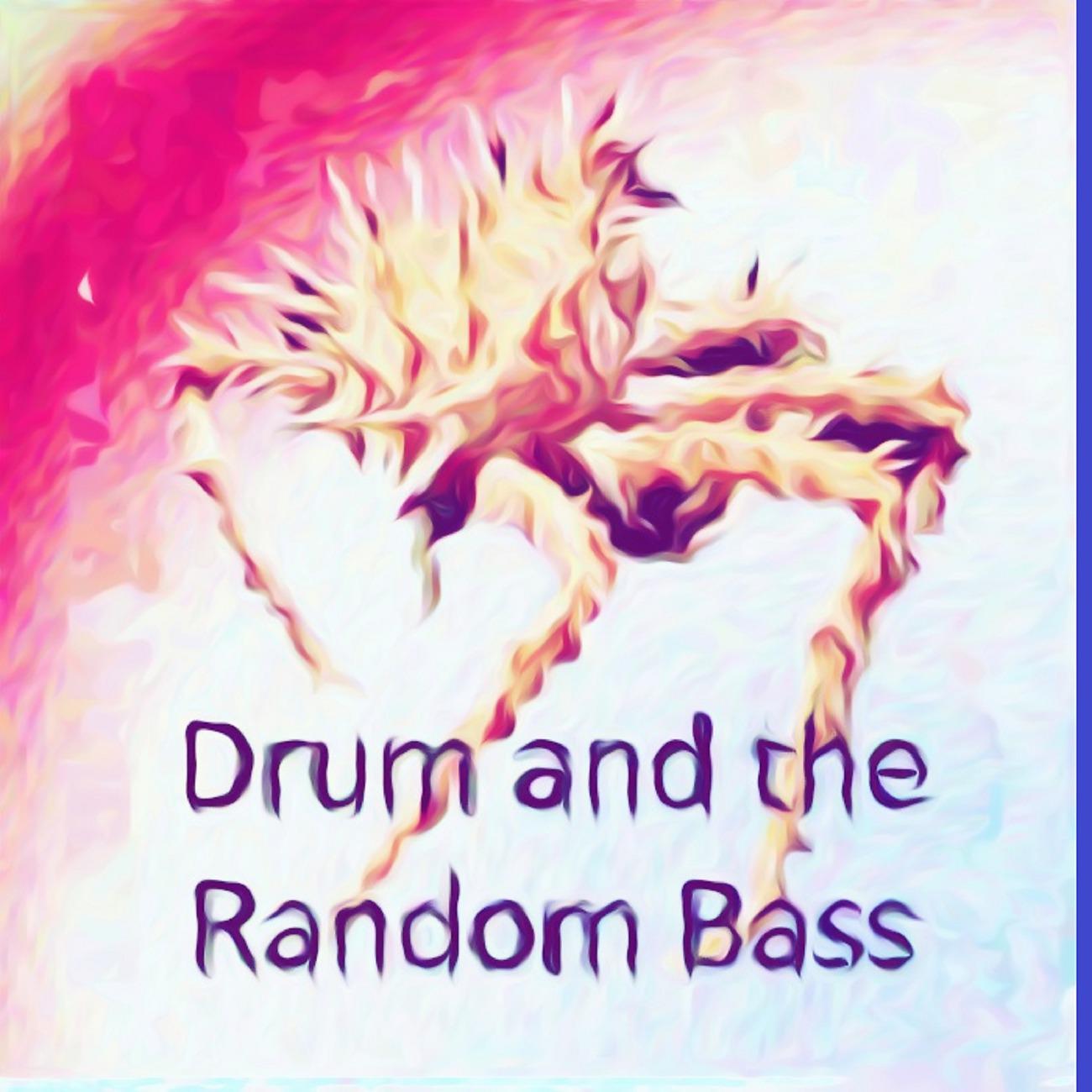 Постер альбома Drum and the Random Bass