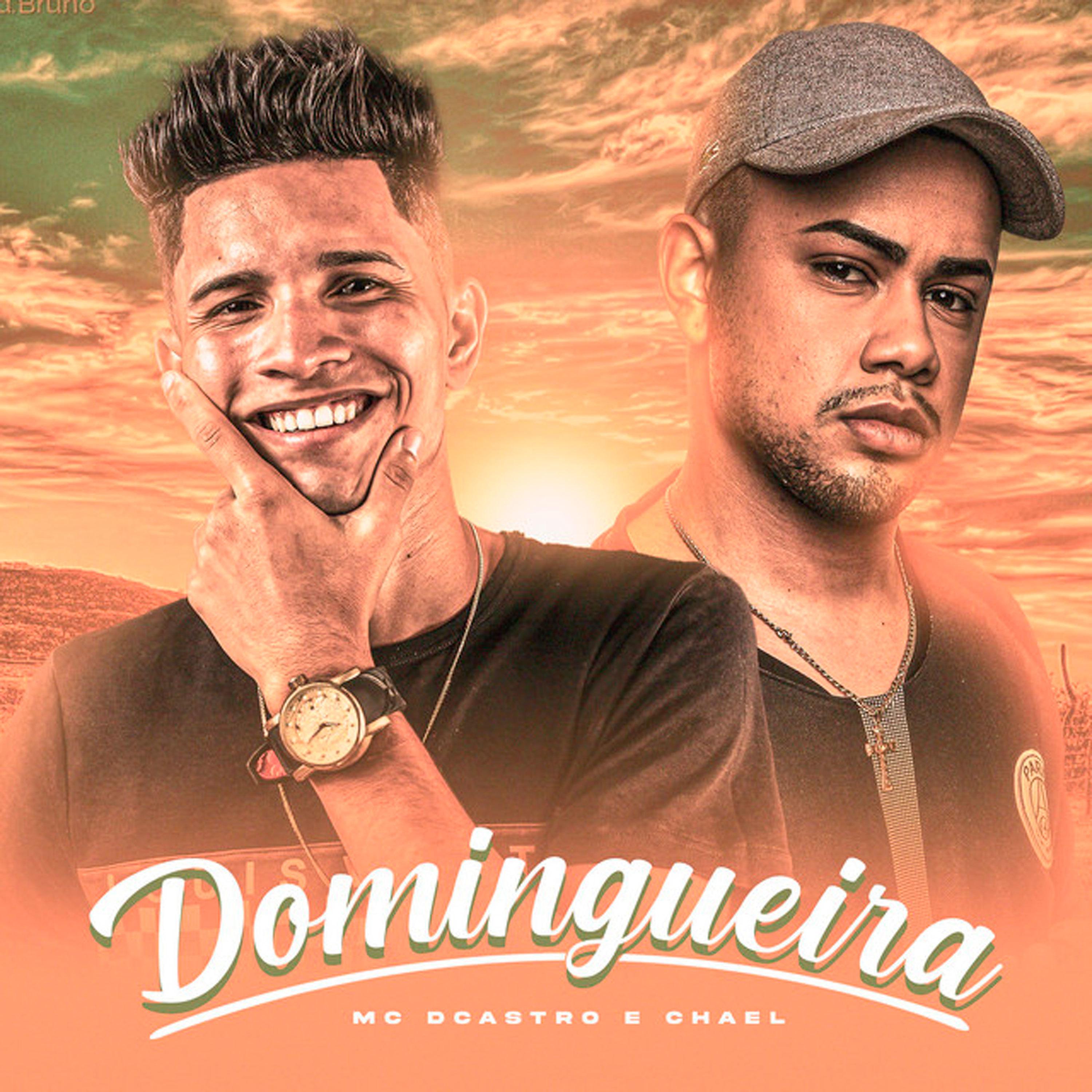 Постер альбома Domingueira