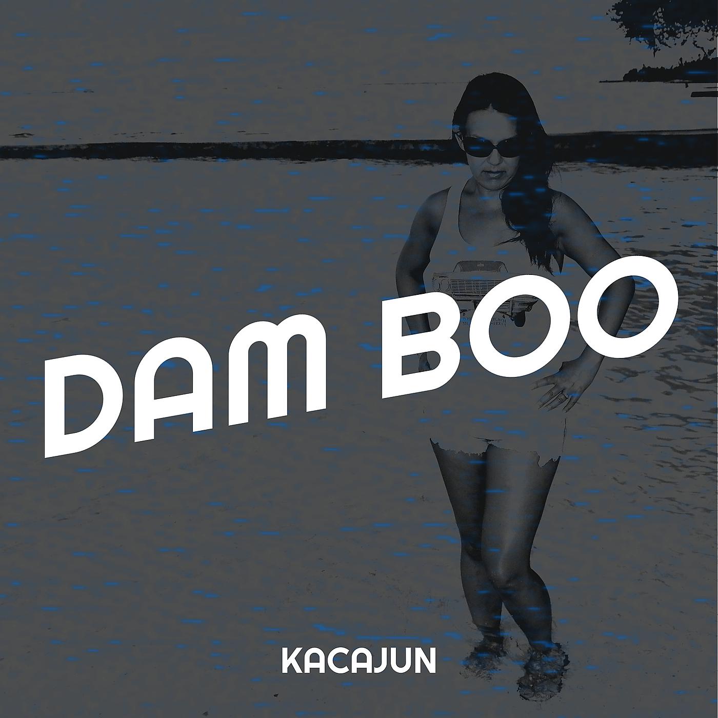 Постер альбома Dam Boo