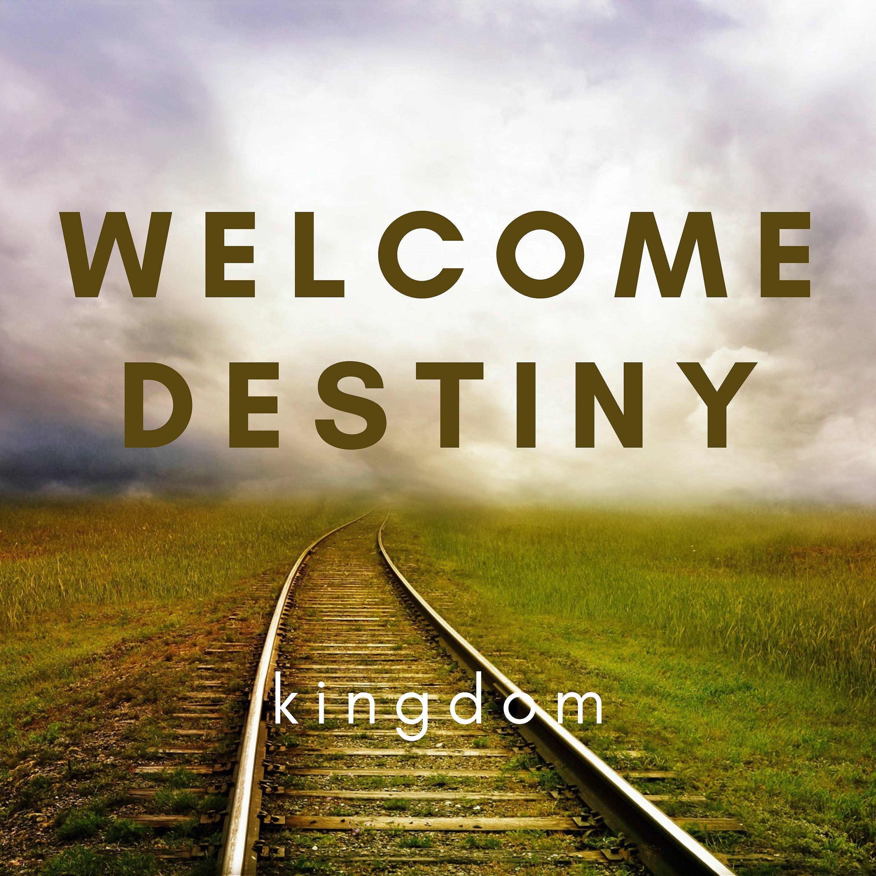 Постер альбома Welcome Destiny