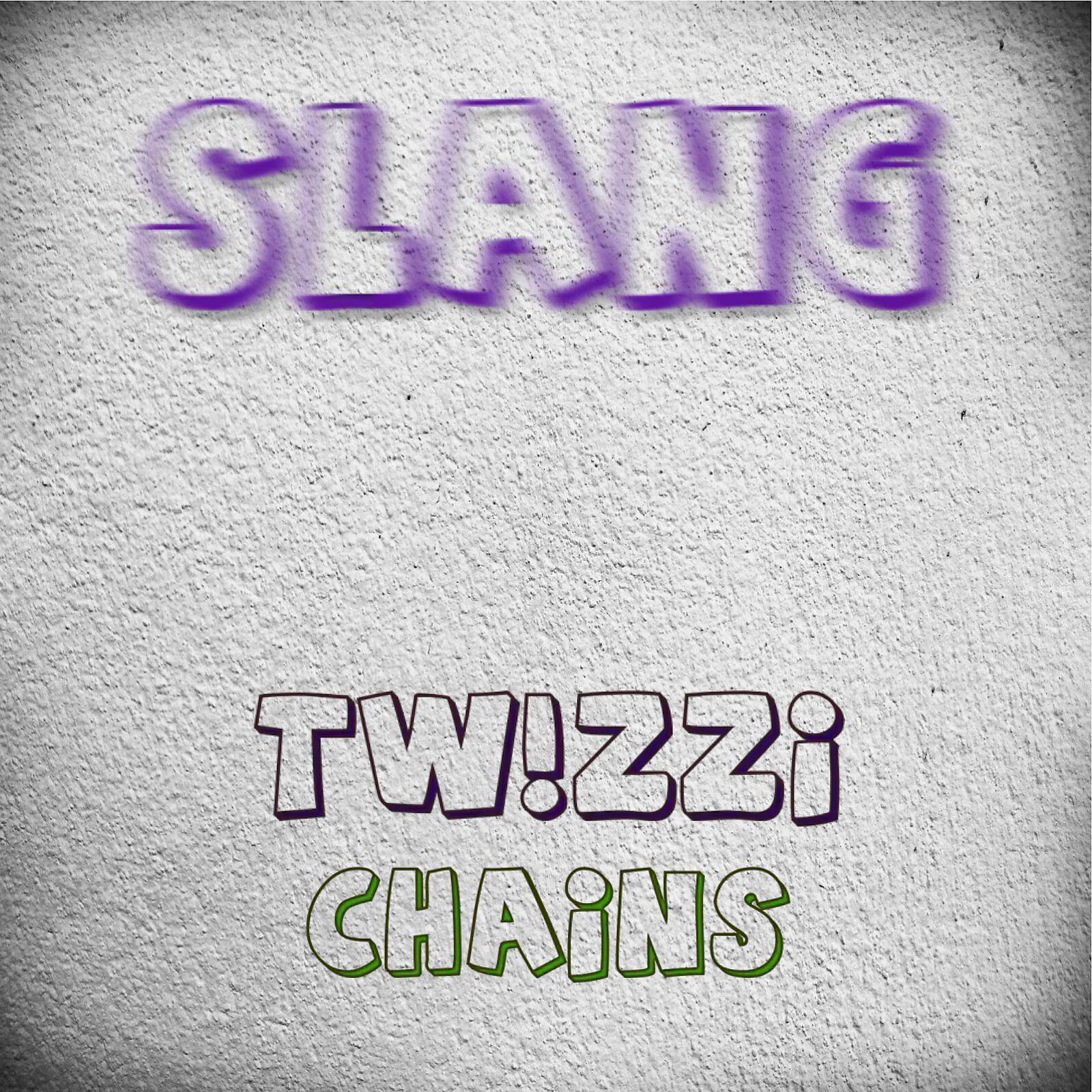 Постер альбома Slang (feat.tw!zzi.)