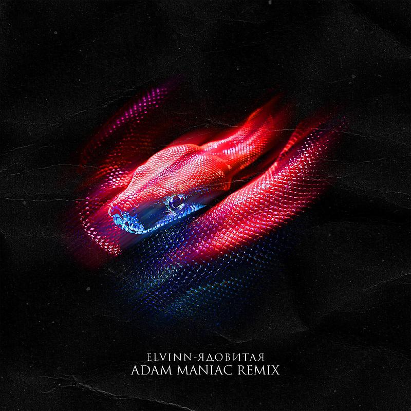 Постер альбома Ядовитая Adam Maniac Remix