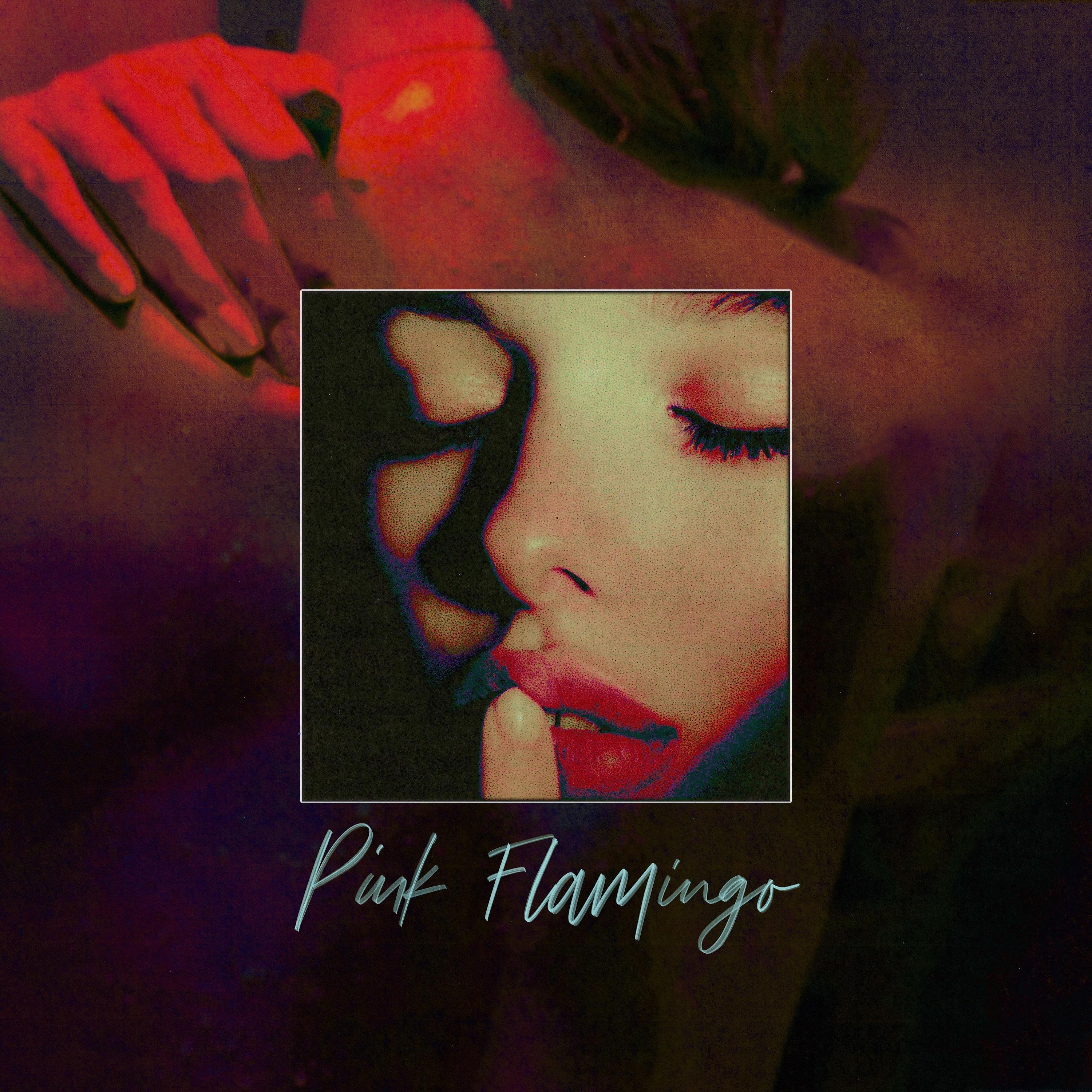 Постер альбома Pink Flamingo