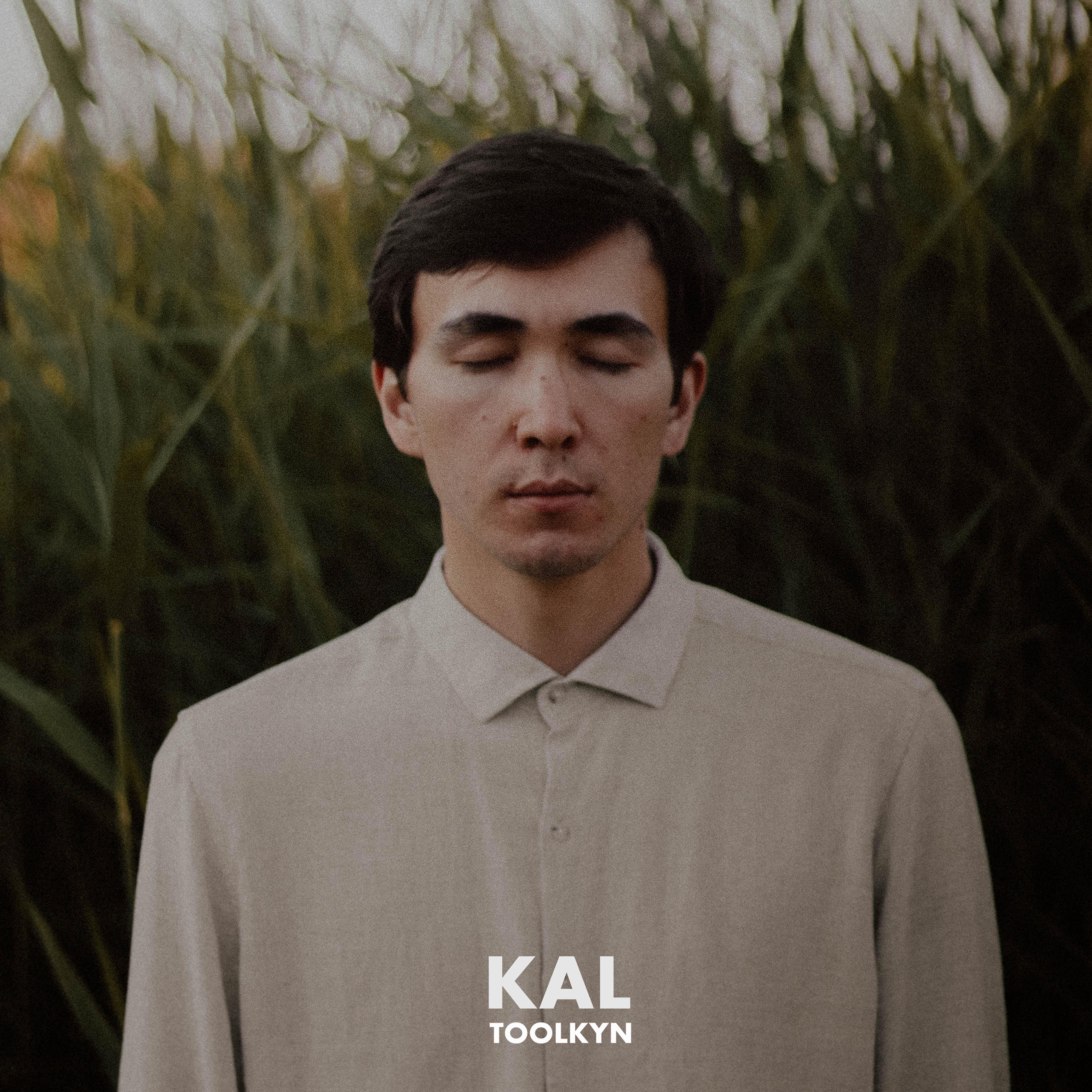 Постер альбома Kal