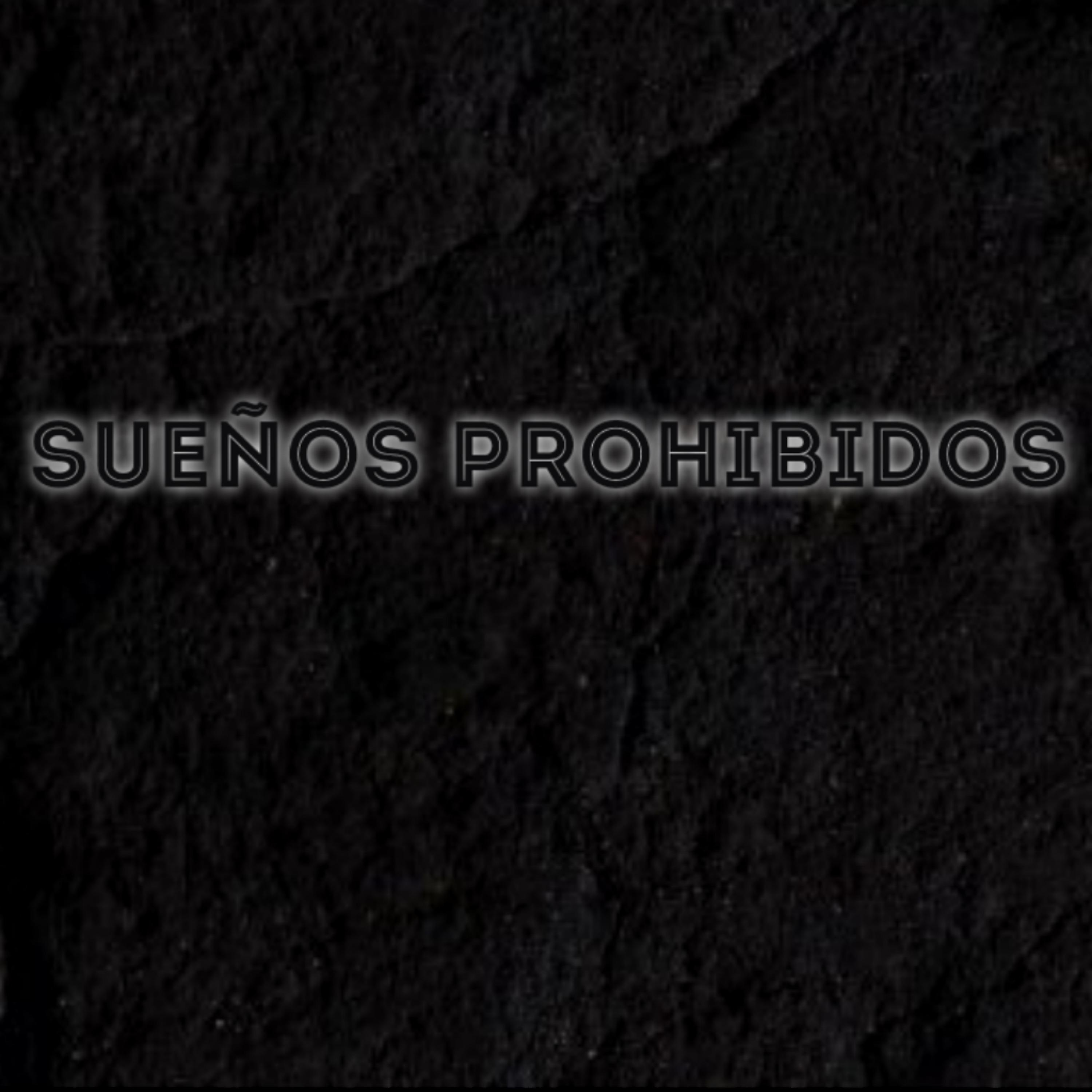 Постер альбома Sueños Prohibidos