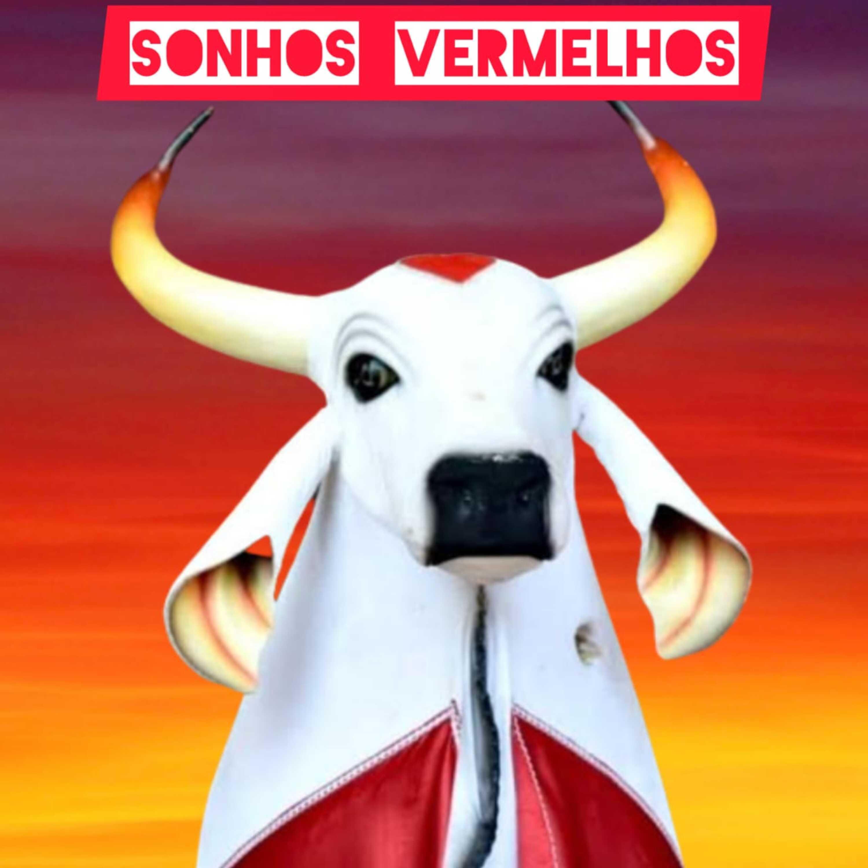 Постер альбома Sonhos Vermelhos