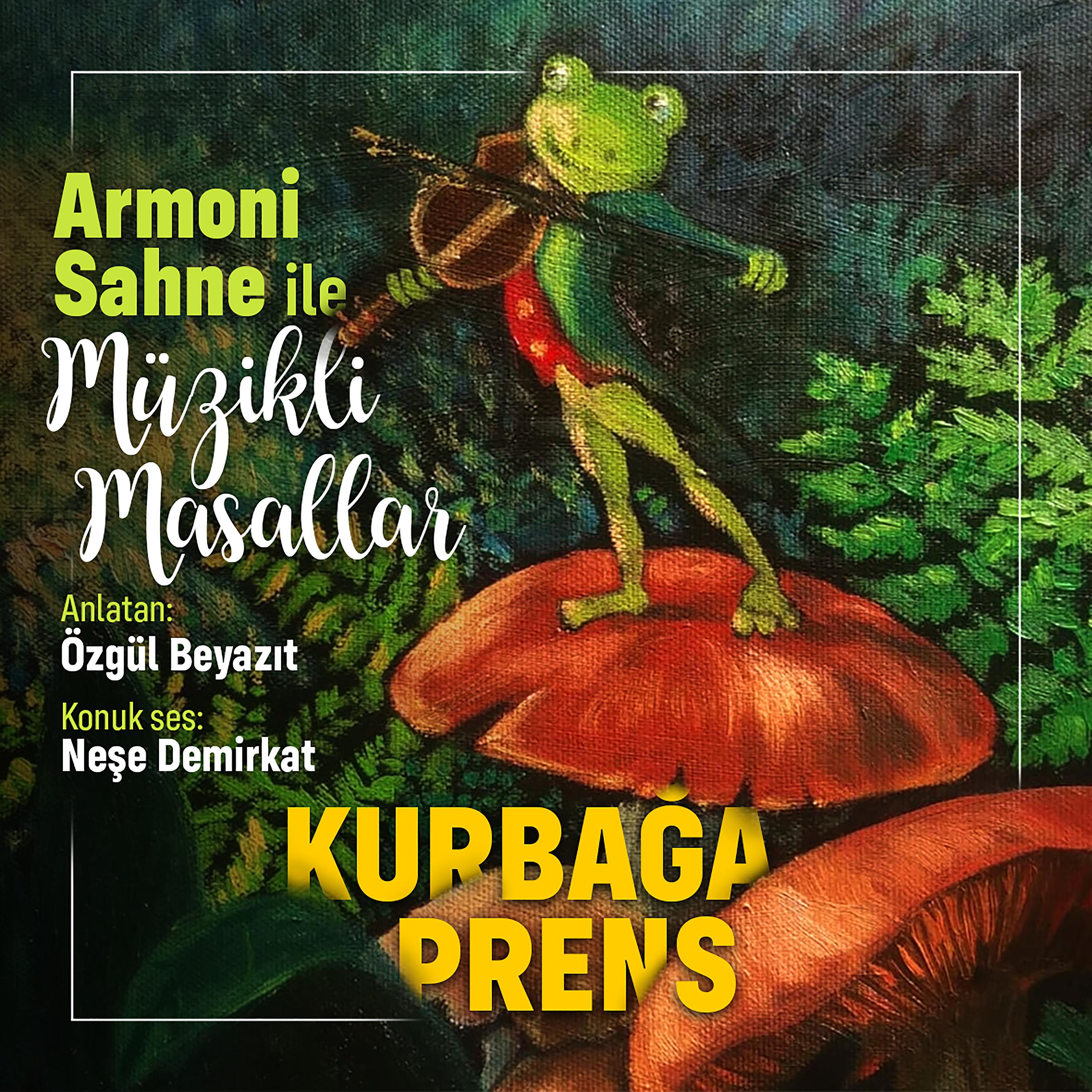 Постер альбома Kurbağa Prens