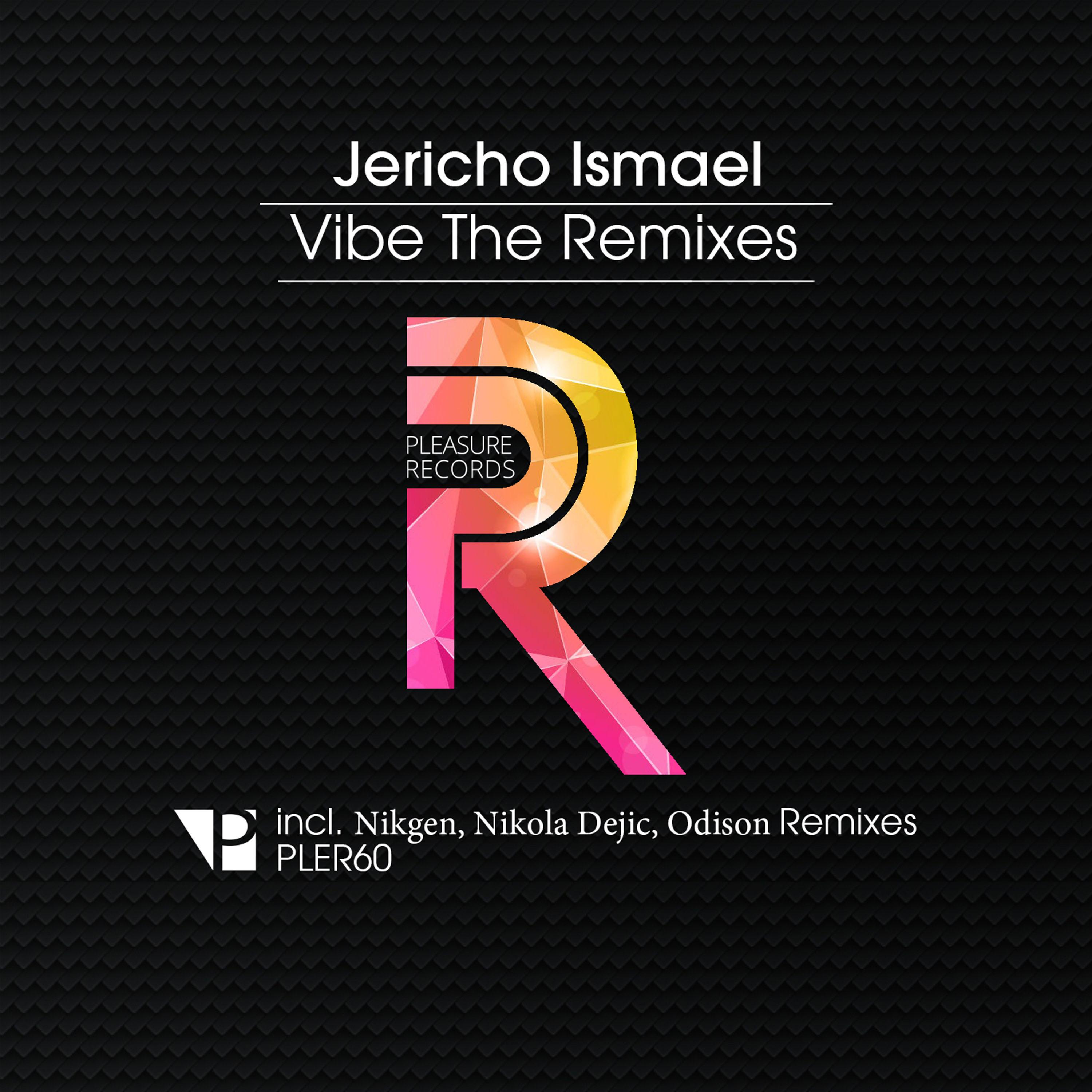 Постер альбома Vibe - The Remixes