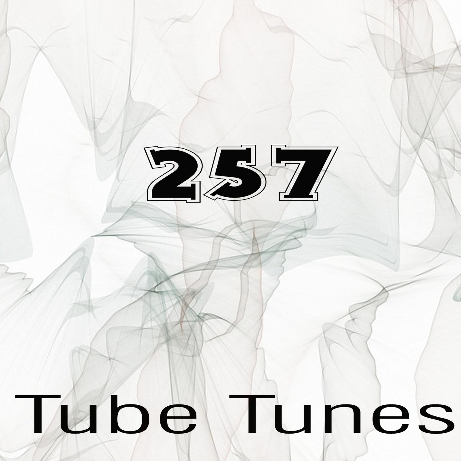 Постер альбома Tube Tunes, Vol.257