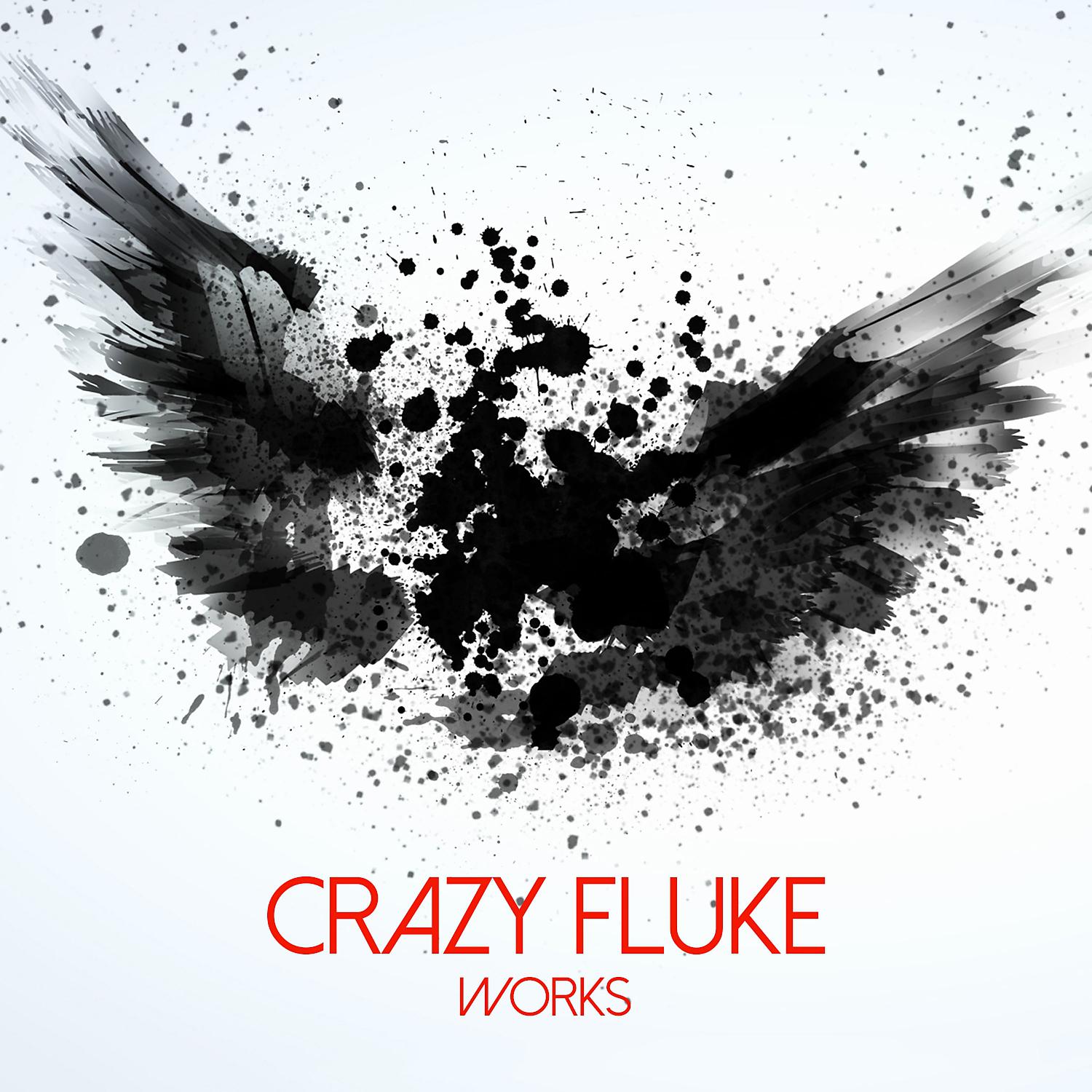 Постер альбома Crazy Fluke Works