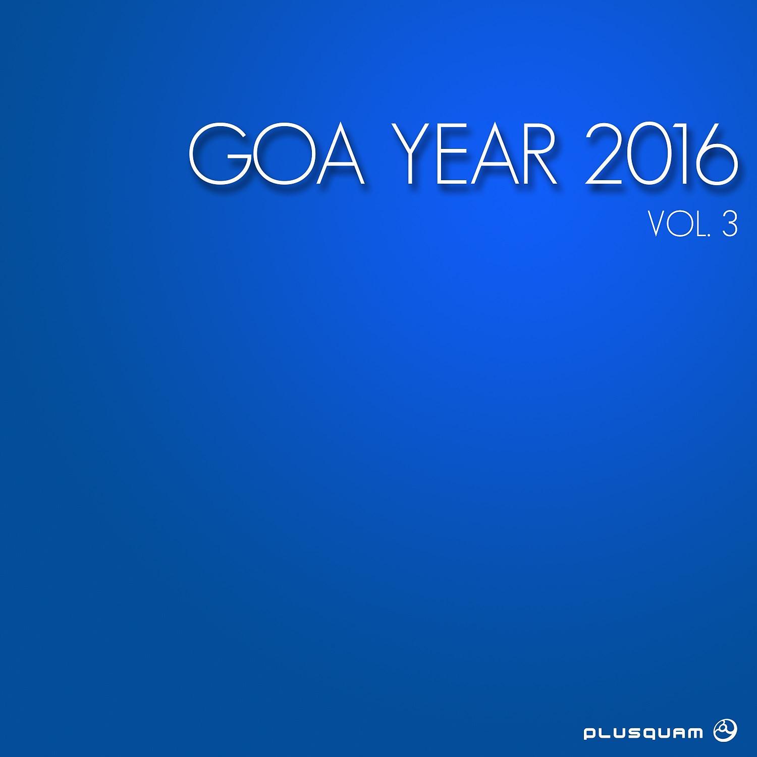 Постер альбома Goa Year 2016, Vol. 3