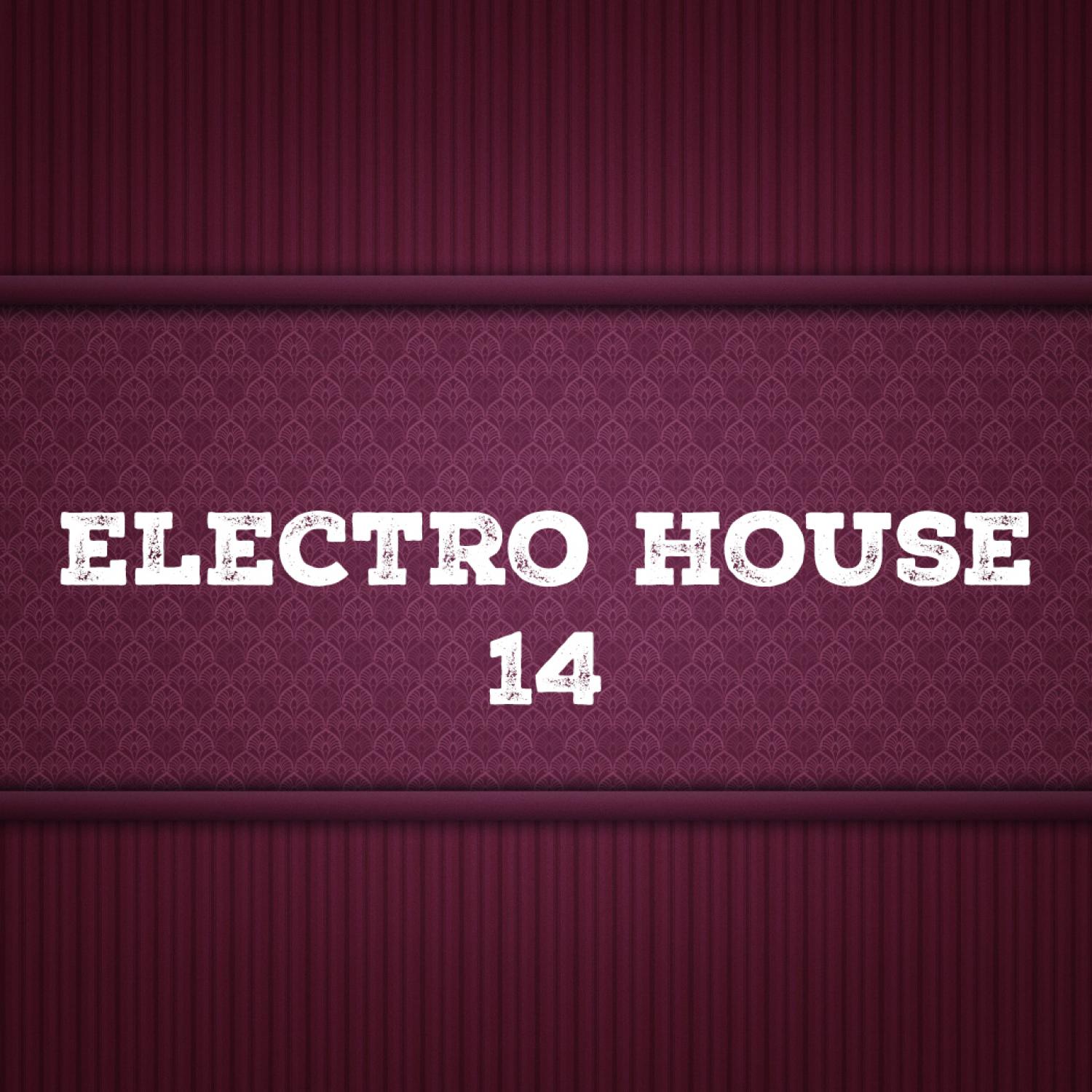 Постер альбома Electro House, Vol. 14