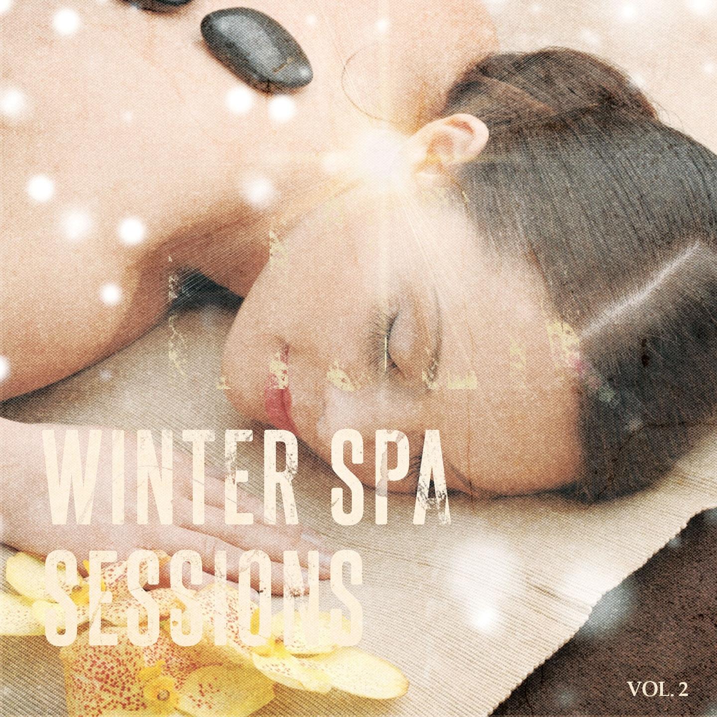 Постер альбома Winter Spa Sessions, Vol. 2