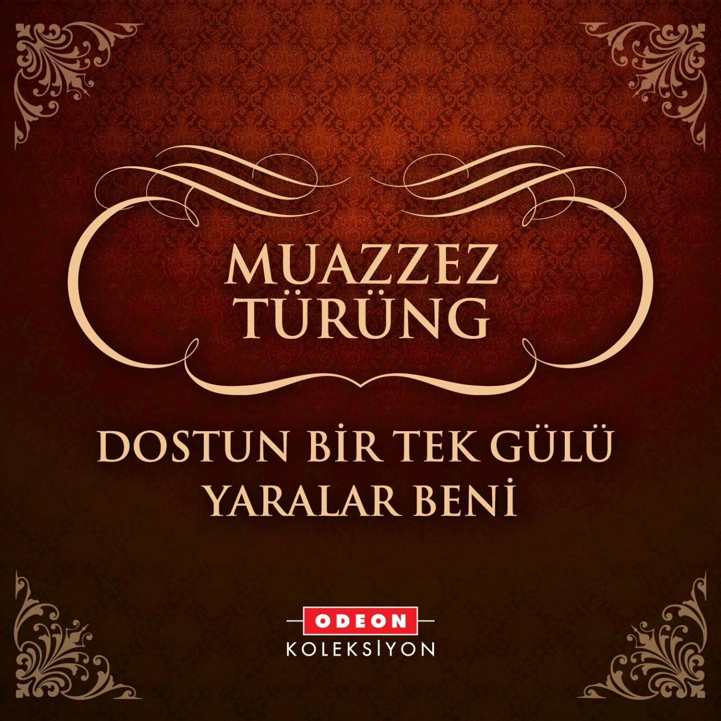Постер альбома Dostun Bir Tek Gülü Yaralar Beni