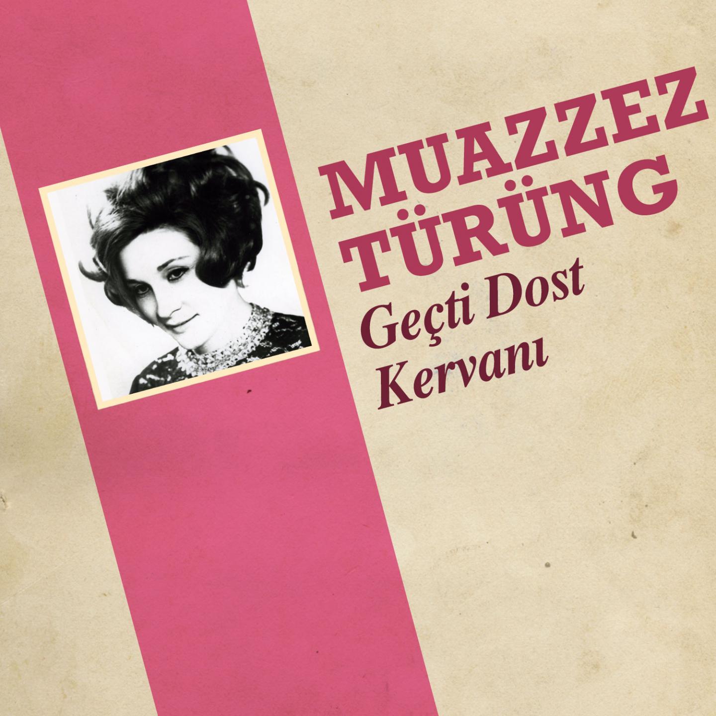 Постер альбома Geçti Dost Kervanı