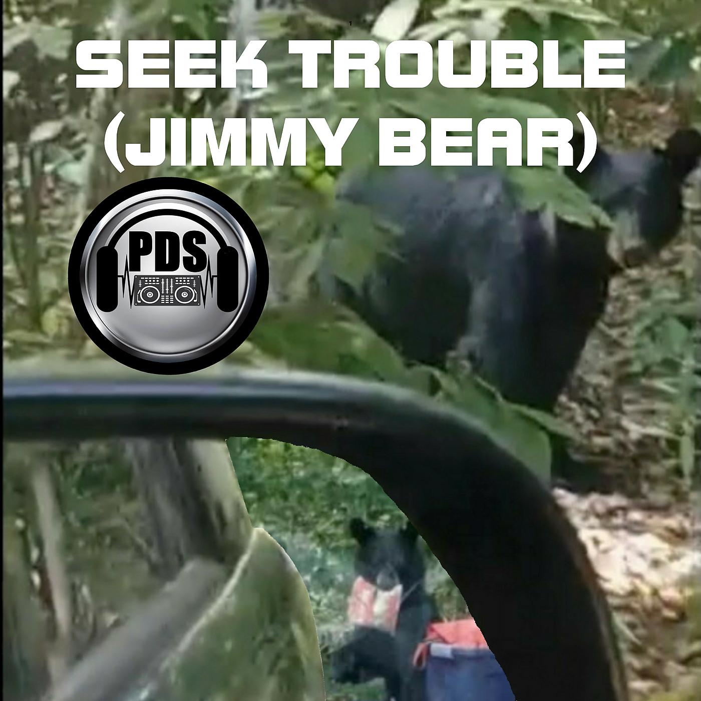 Постер альбома Seek Trouble (Jimmy Bear)