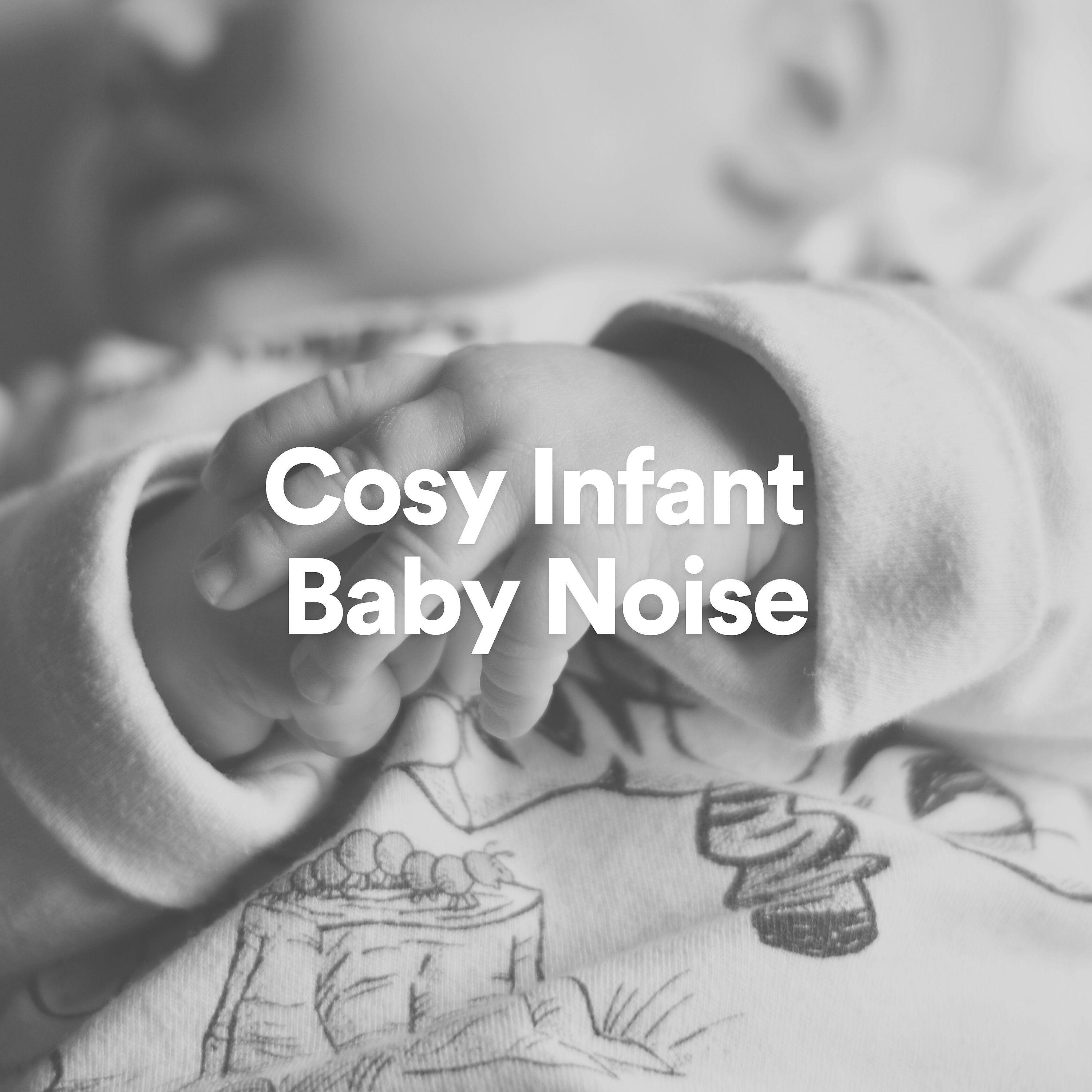 Постер альбома Cosy Infant Baby Noise