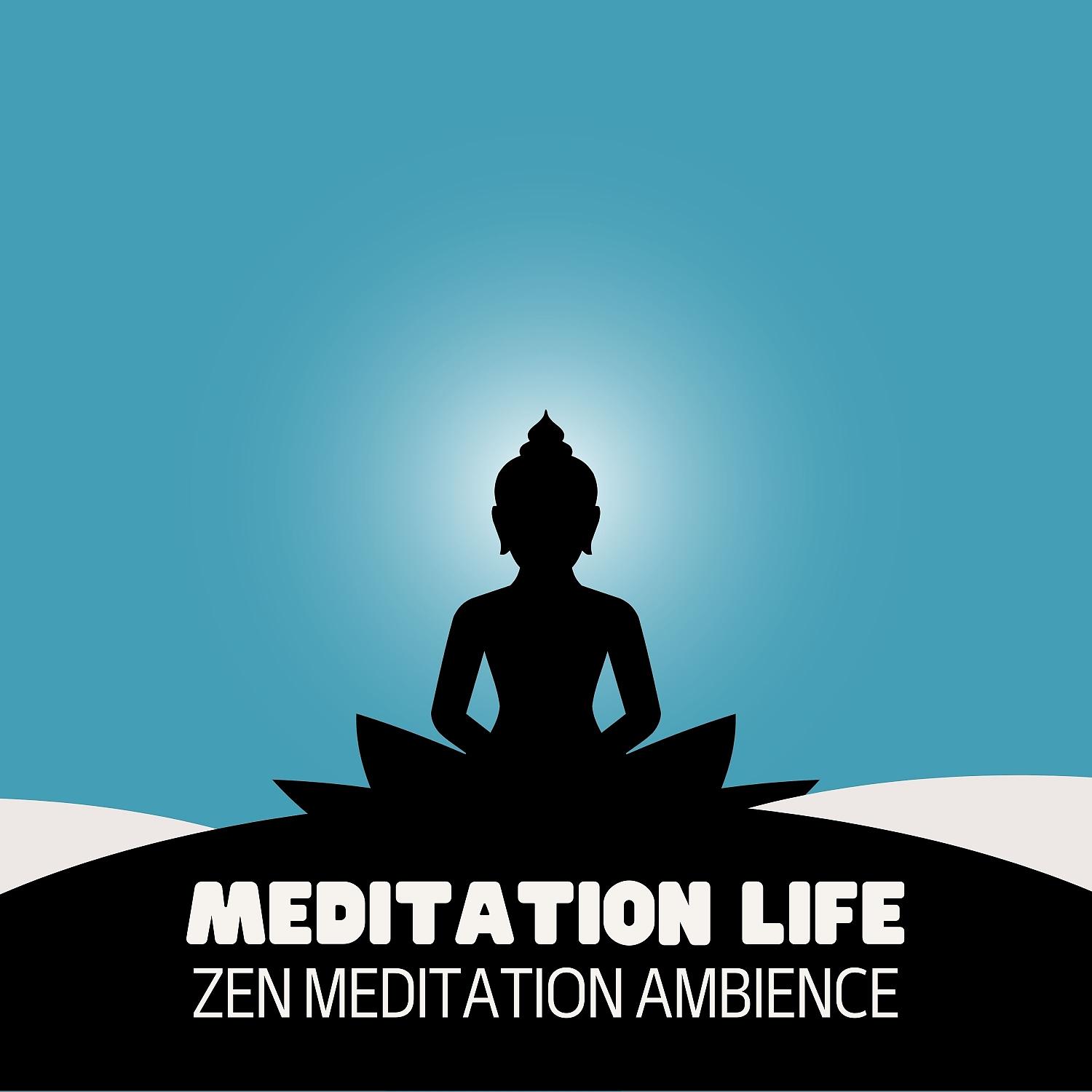 Постер альбома Meditation Life