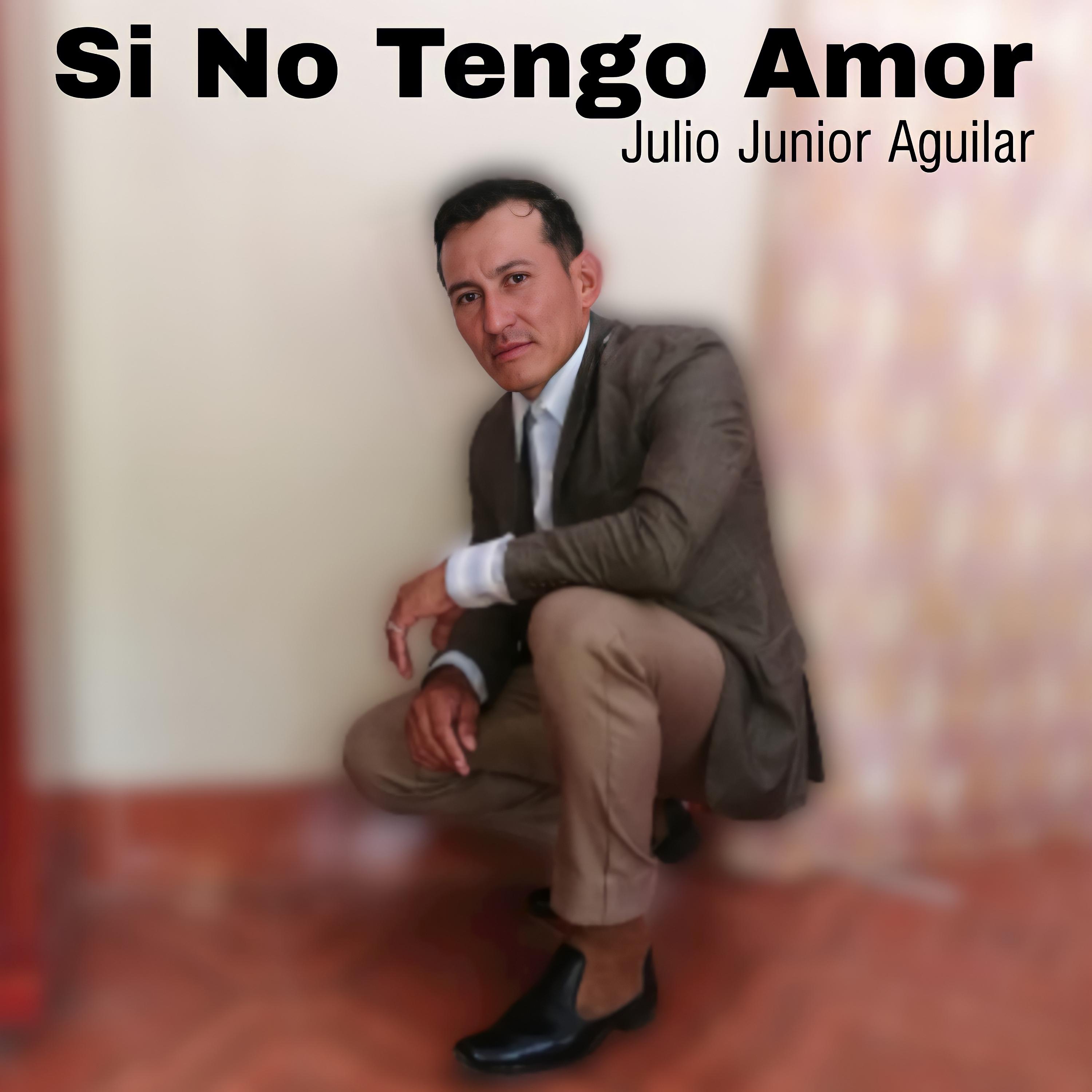 Постер альбома Si No Tengo Amor