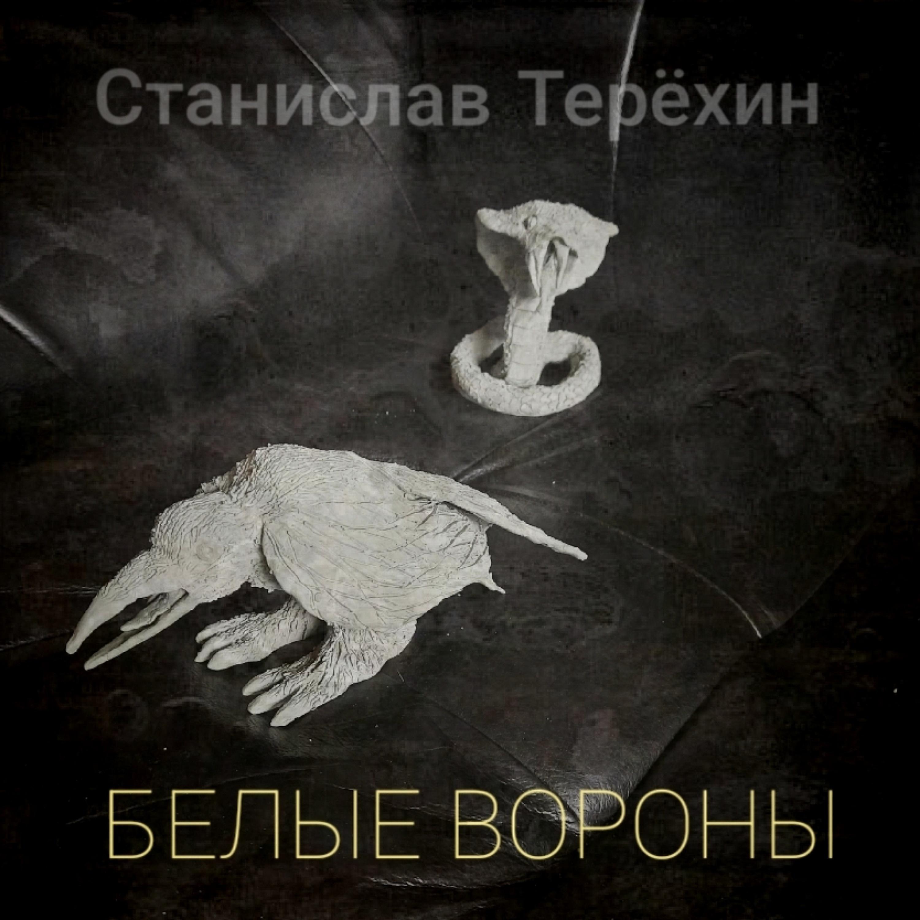 Постер альбома Белые вороны