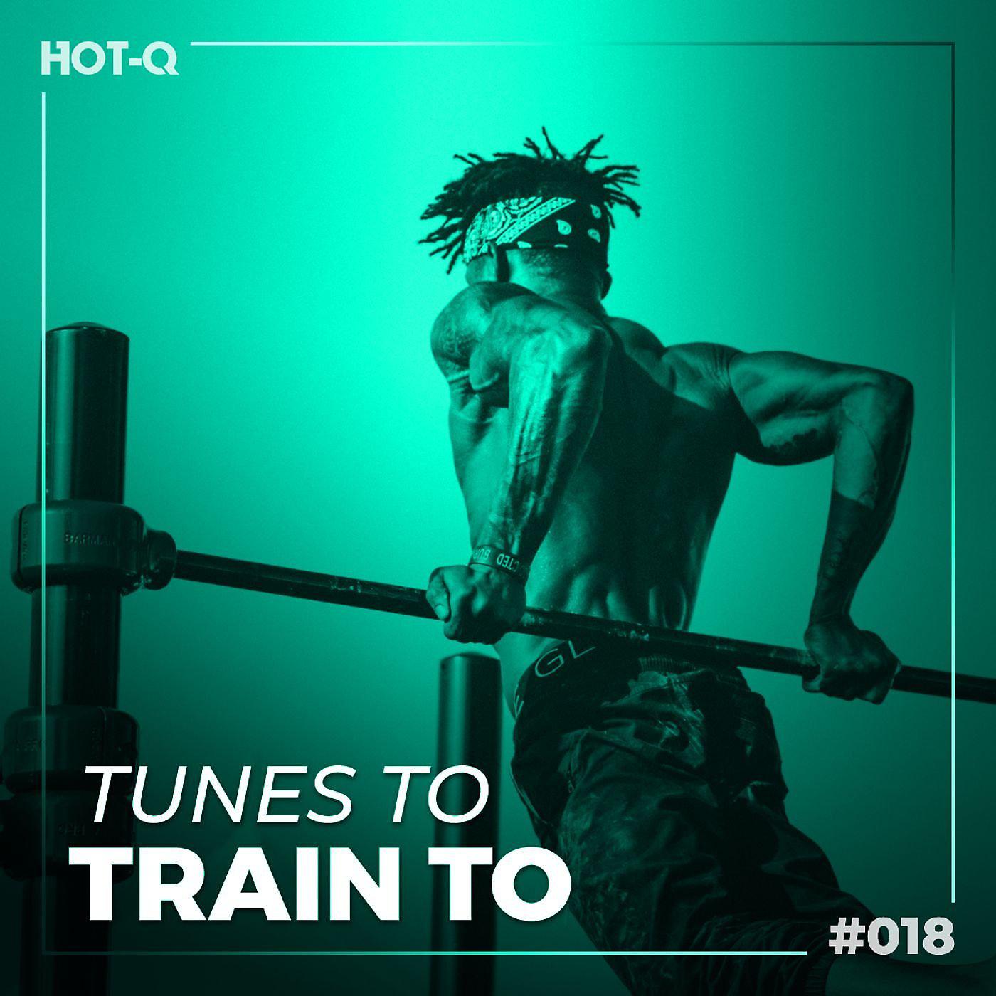 Постер альбома Tunes To Train To 018