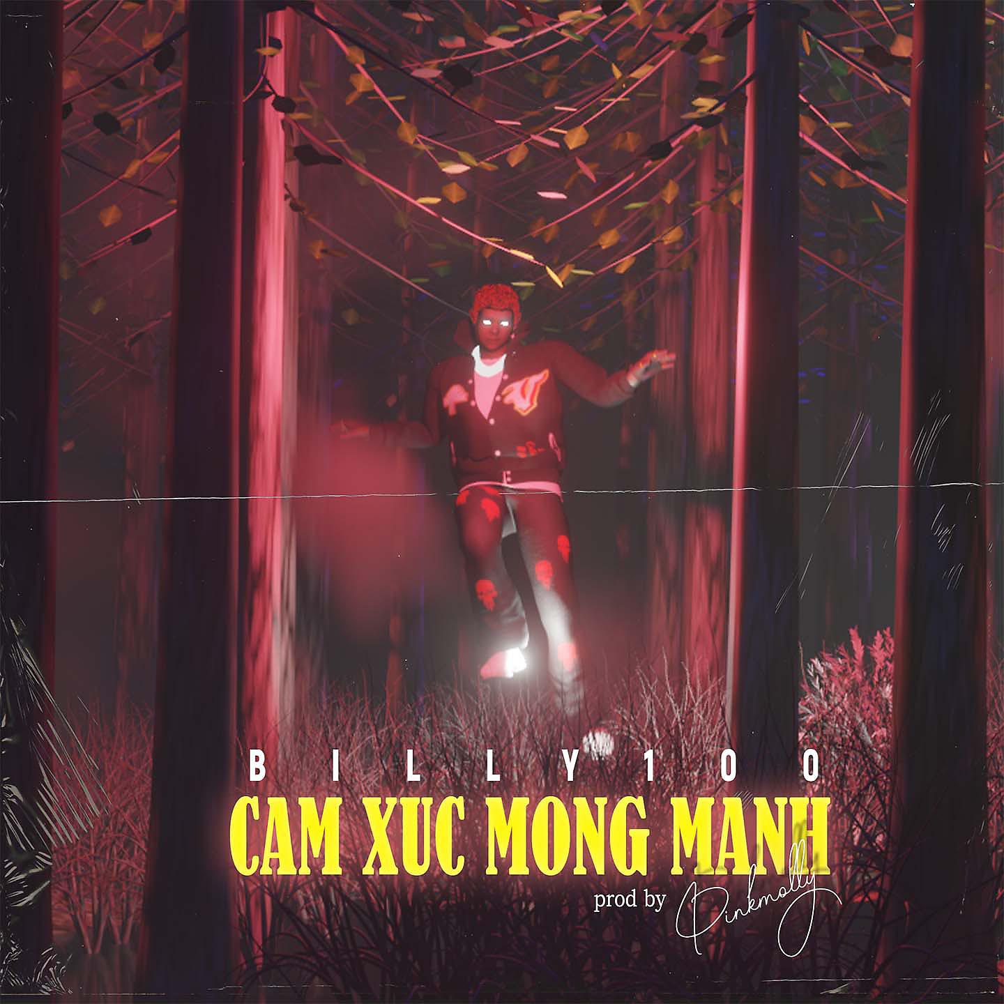 Постер альбома Cảm Xúc Mong Manh