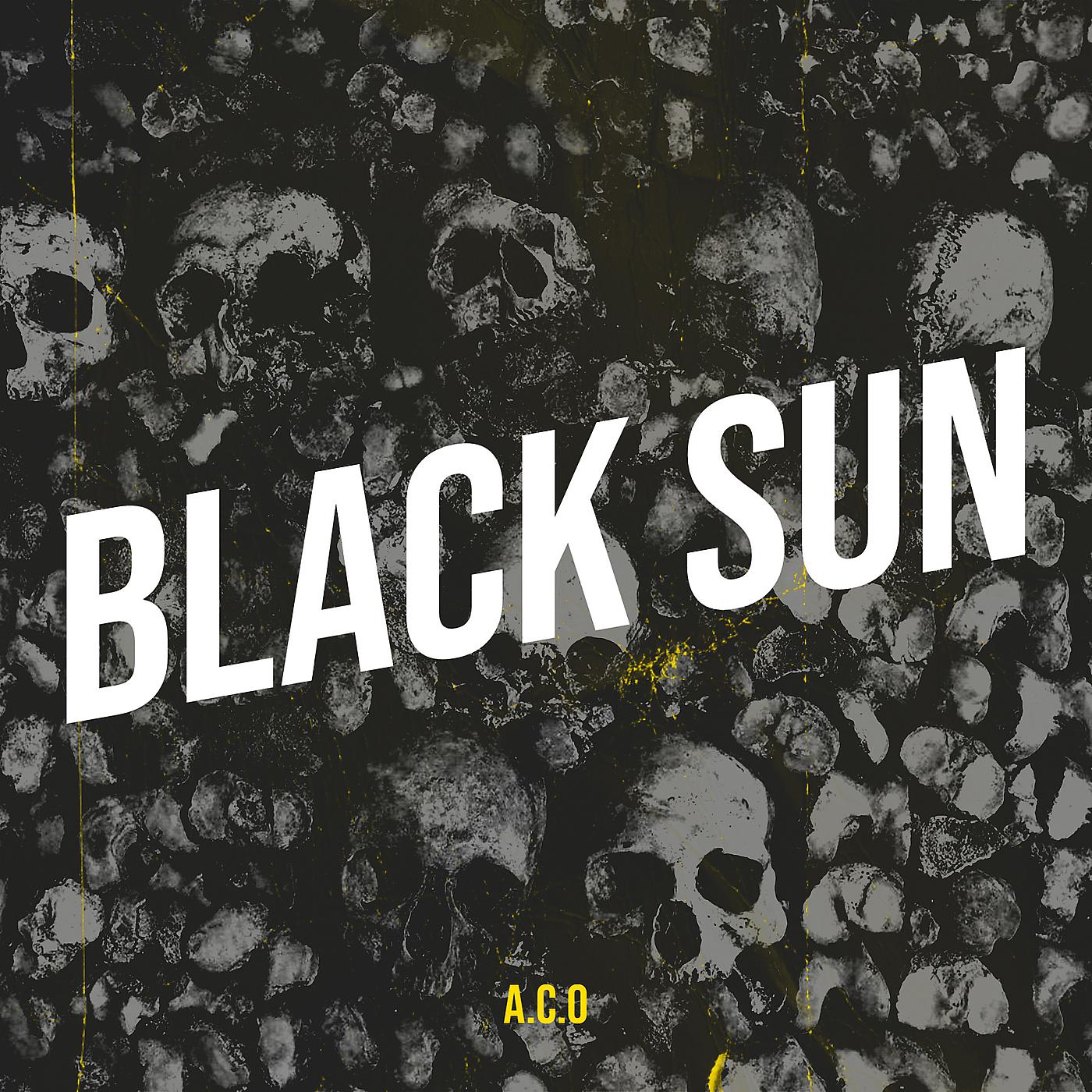 Постер альбома Black Sun