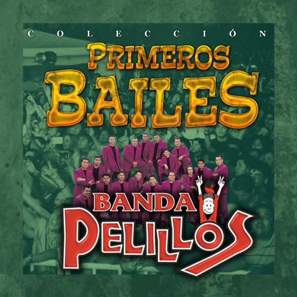 Постер альбома Primeros Bailes