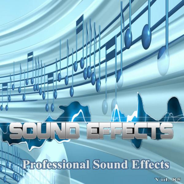 Professional Sound Effects Group - Metal Rotary Knob