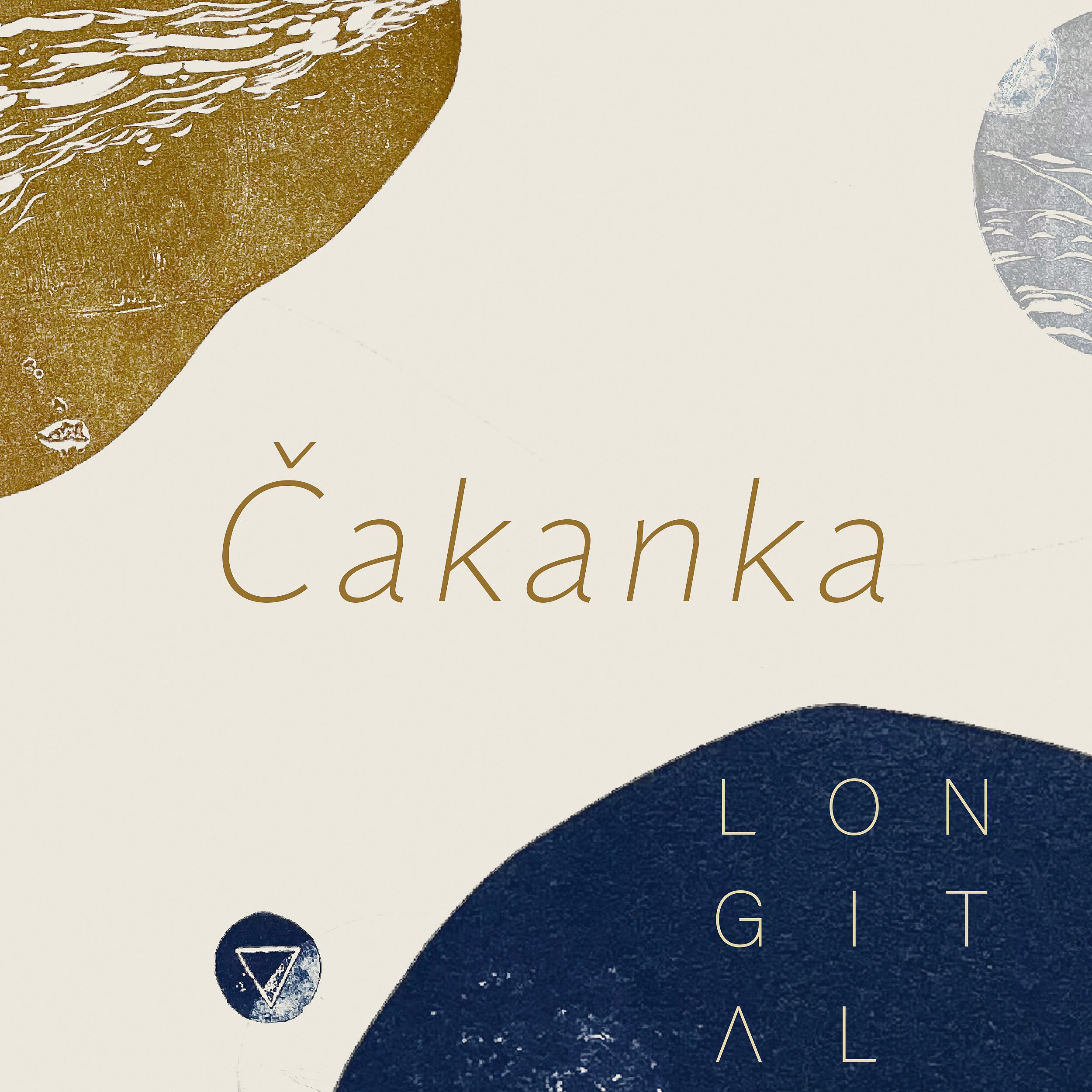 Постер альбома Čakanka