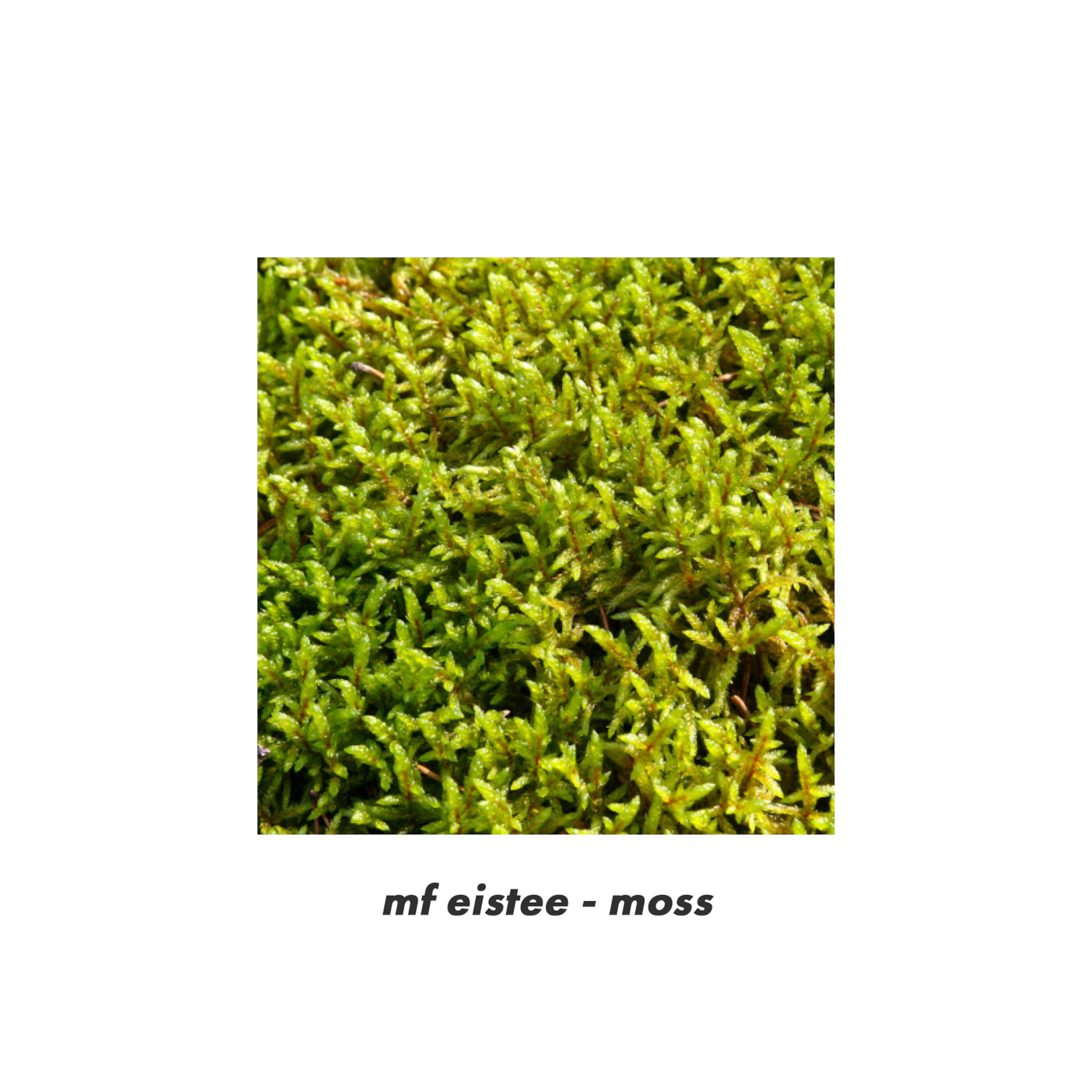 Постер альбома moss