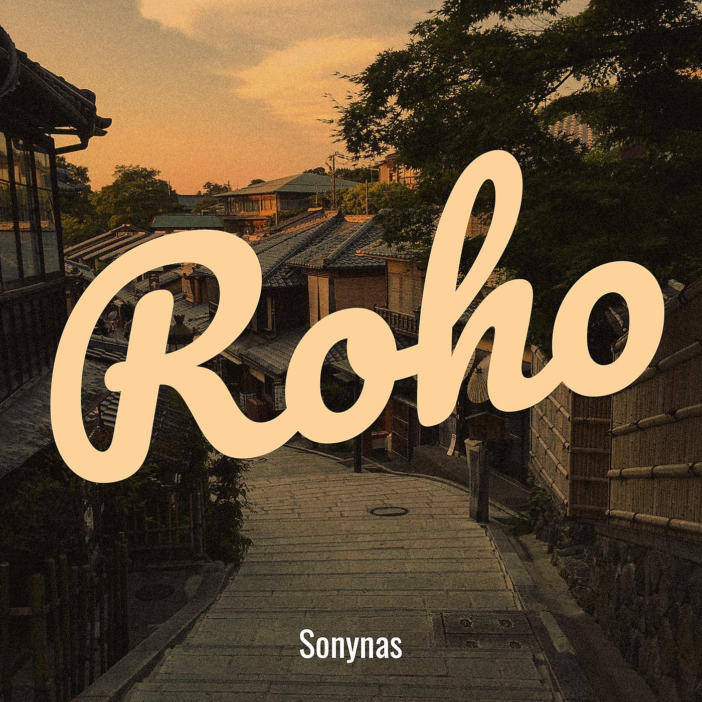Постер альбома Roho