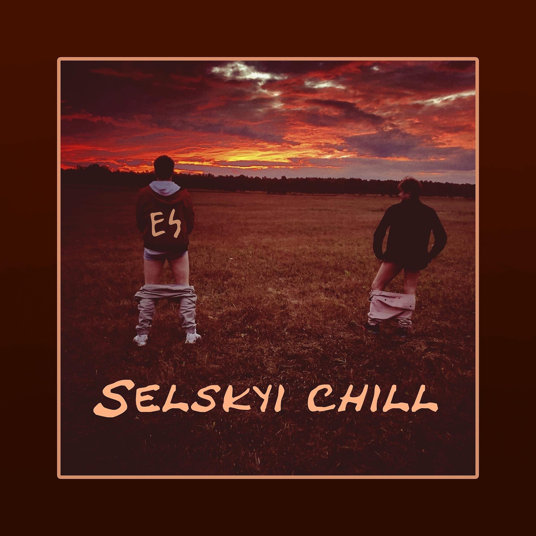 Постер альбома Selskyi Chill