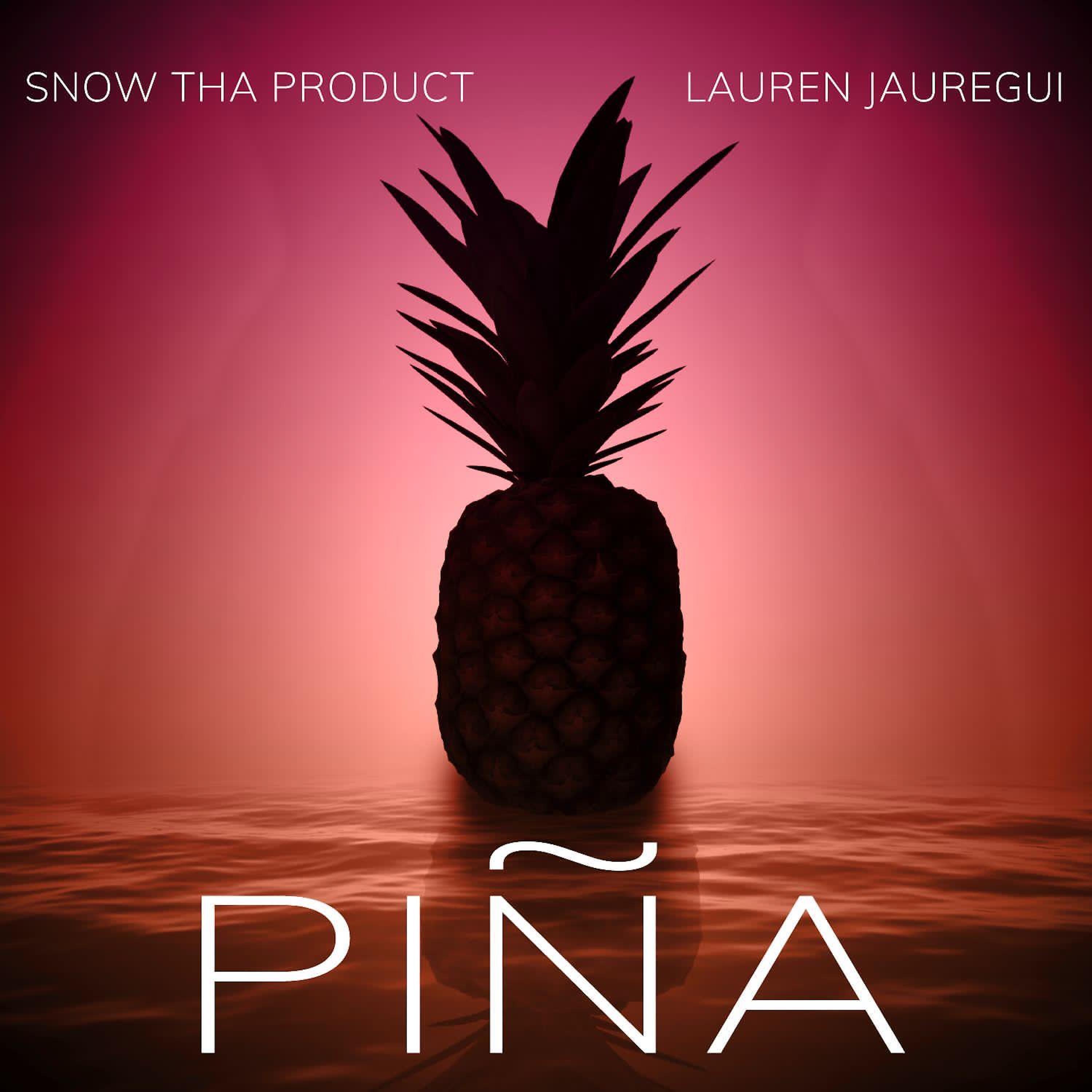 Постер альбома Piña