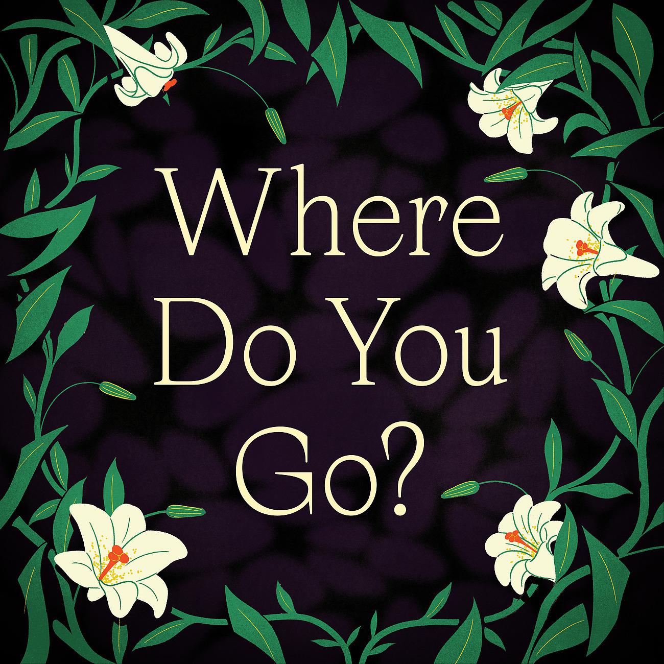 Постер альбома Where Do You Go?