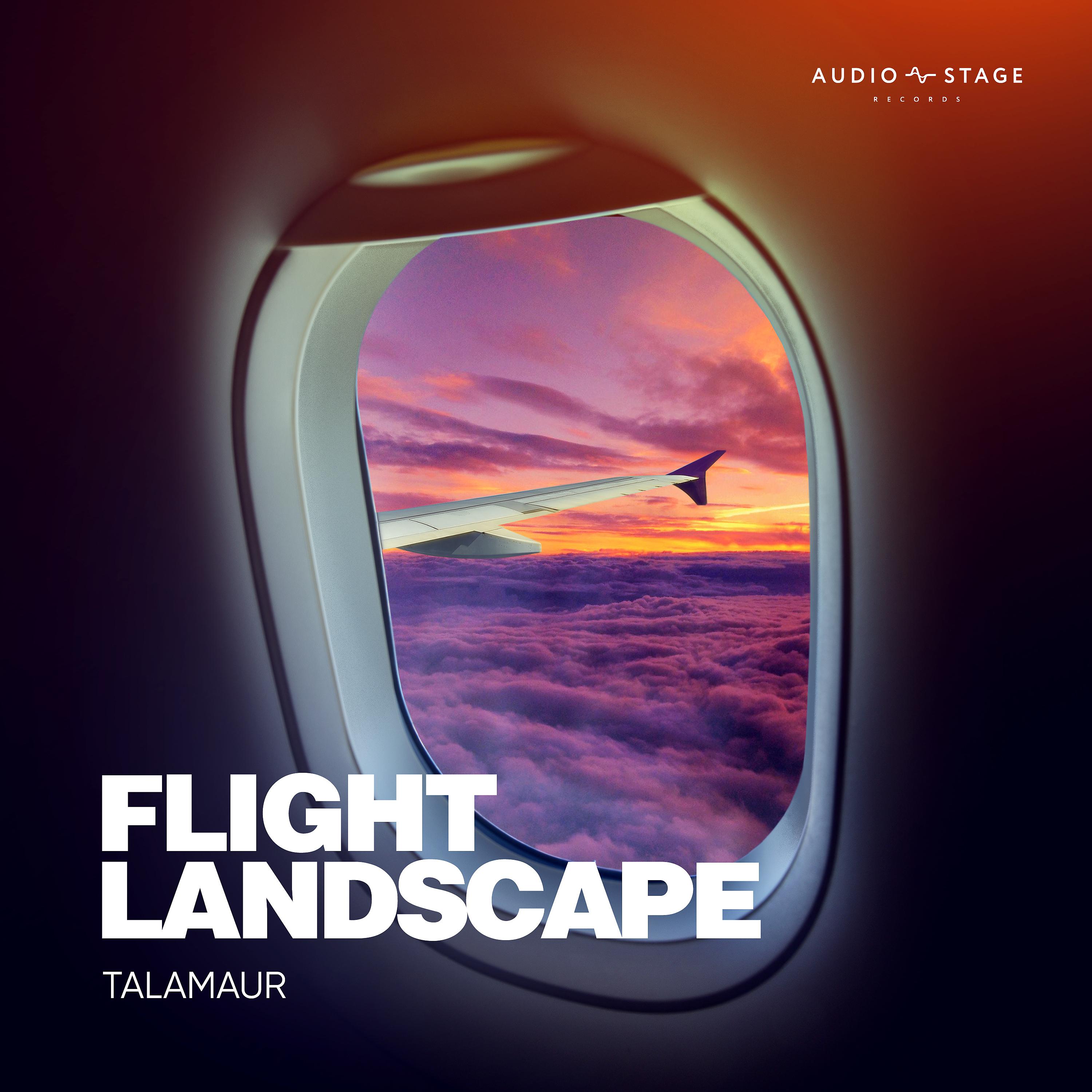 Постер альбома Flight Landscape