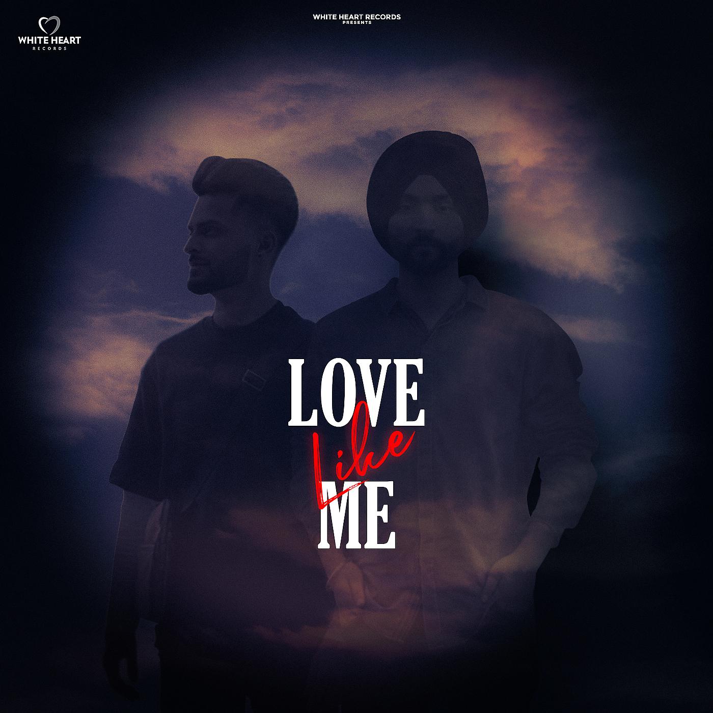 Постер альбома Love Like Me