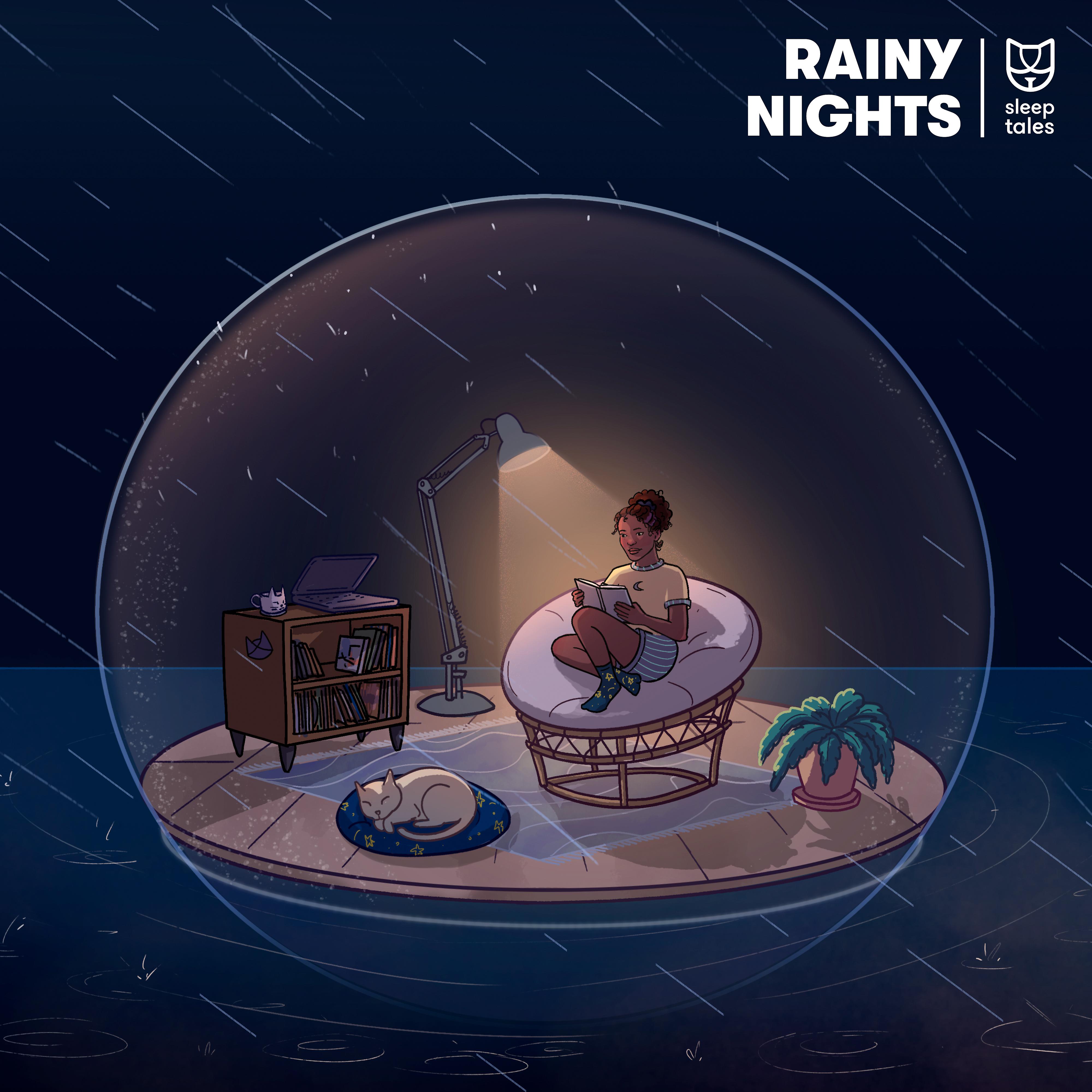 Постер альбома Rainy Nights