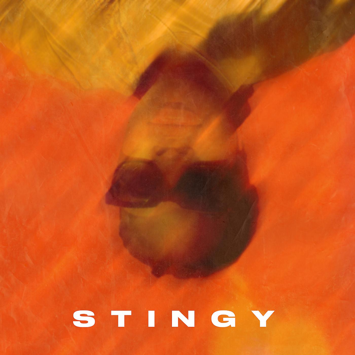 Постер альбома Stingy